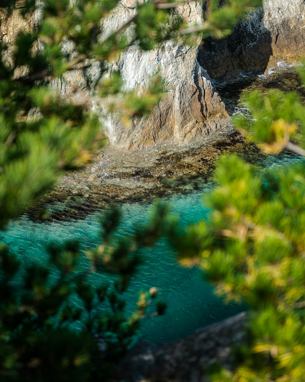 a view of a body of water through some trees