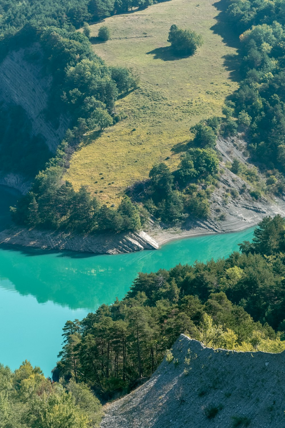 a large body of water surrounded by lush green trees