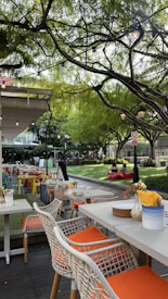 An outdoor dining area with several tables and chairs, featuring vibrant orange cushions. Tall trees with dense green foliage create a canopy overhead, while decorative light bulbs hang from the branches. People can be seen relaxing on the grass in the background, contributing to a serene and inviting atmosphere.