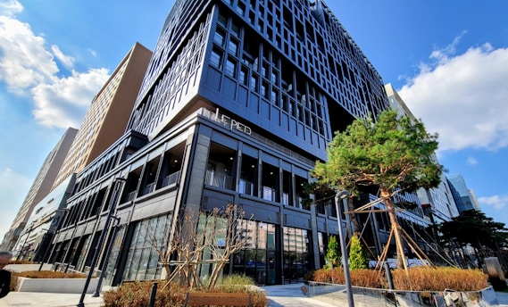 A modern, multi-story building with a sleek black facade, large windows, and geometric architectural design. In the foreground, there are young trees supported by stakes and landscaped areas with small plants and decorative grasses. The sky is clear with a few scattered clouds.