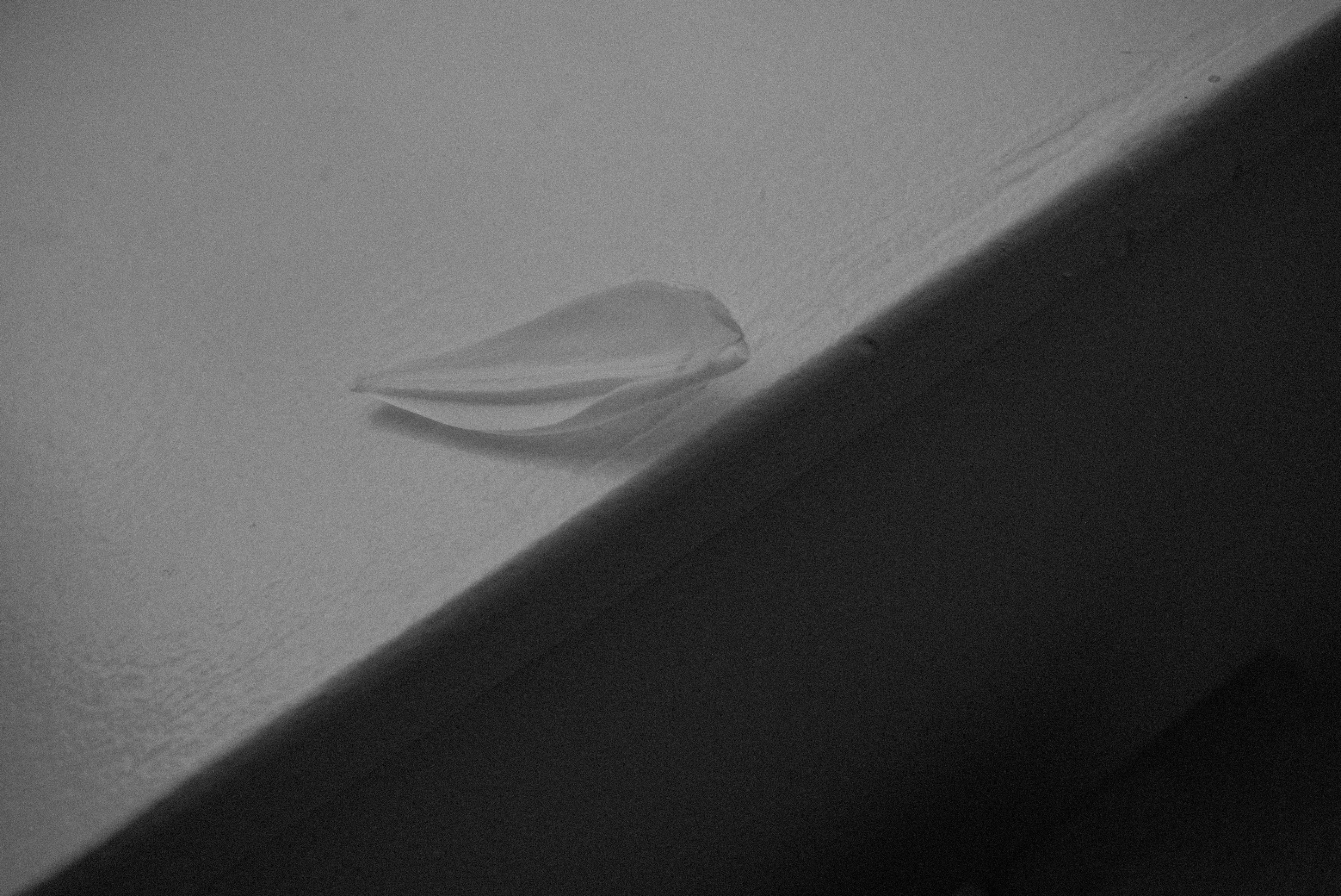 um pedaço de papel em uma superfície branca