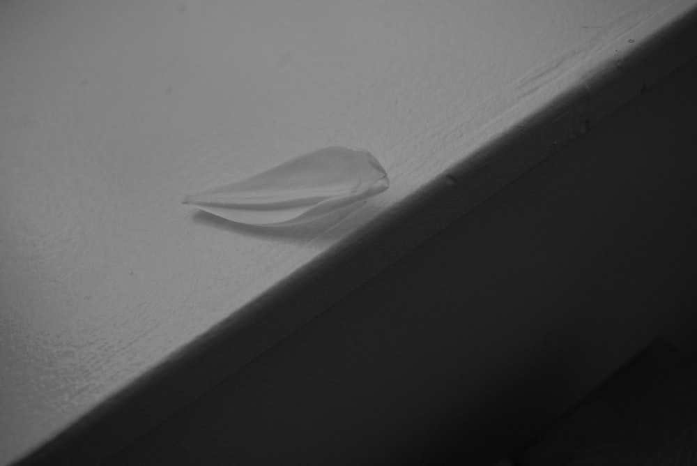 un morceau de papier sur une surface blanche
