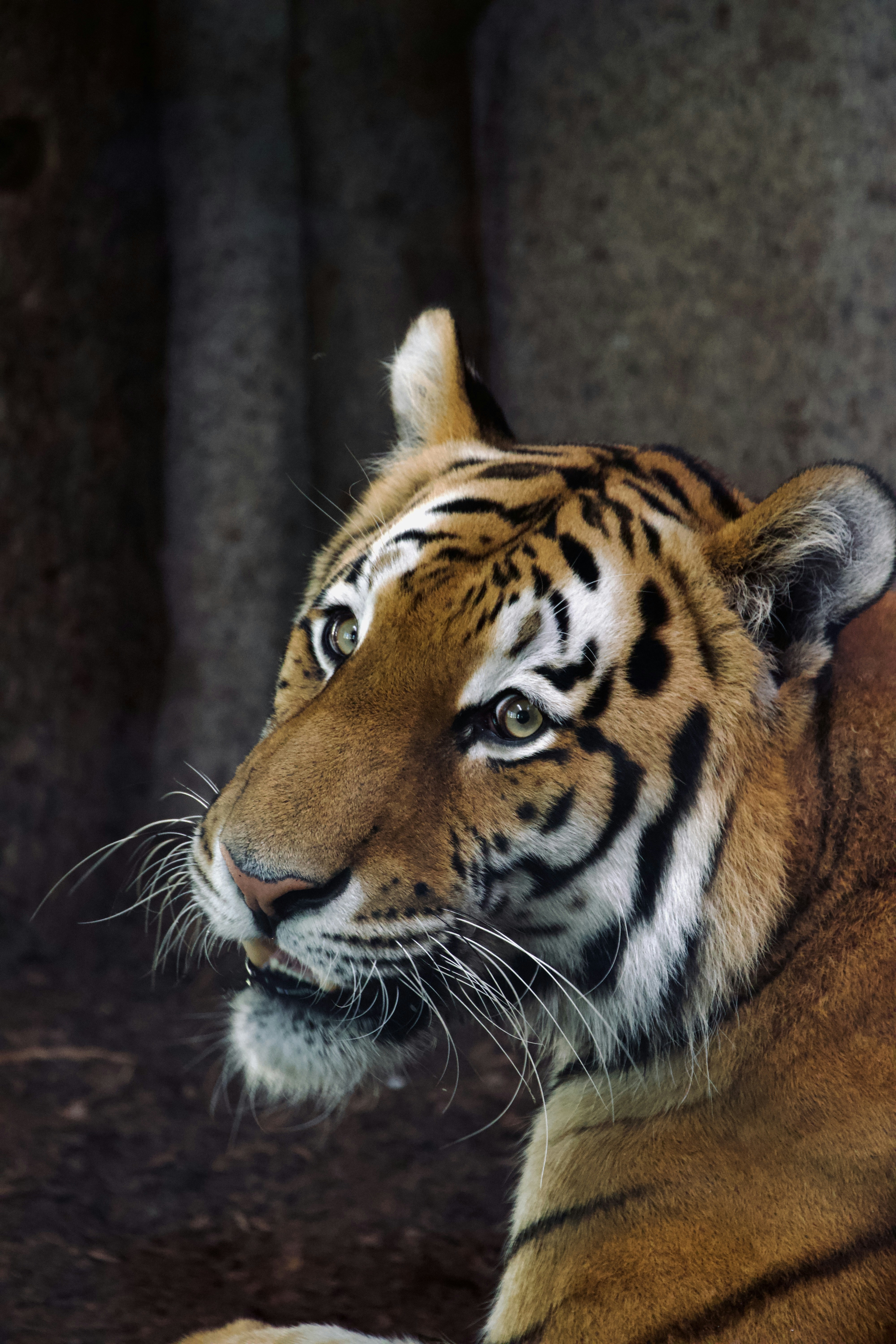 Photo by jakub_neskora