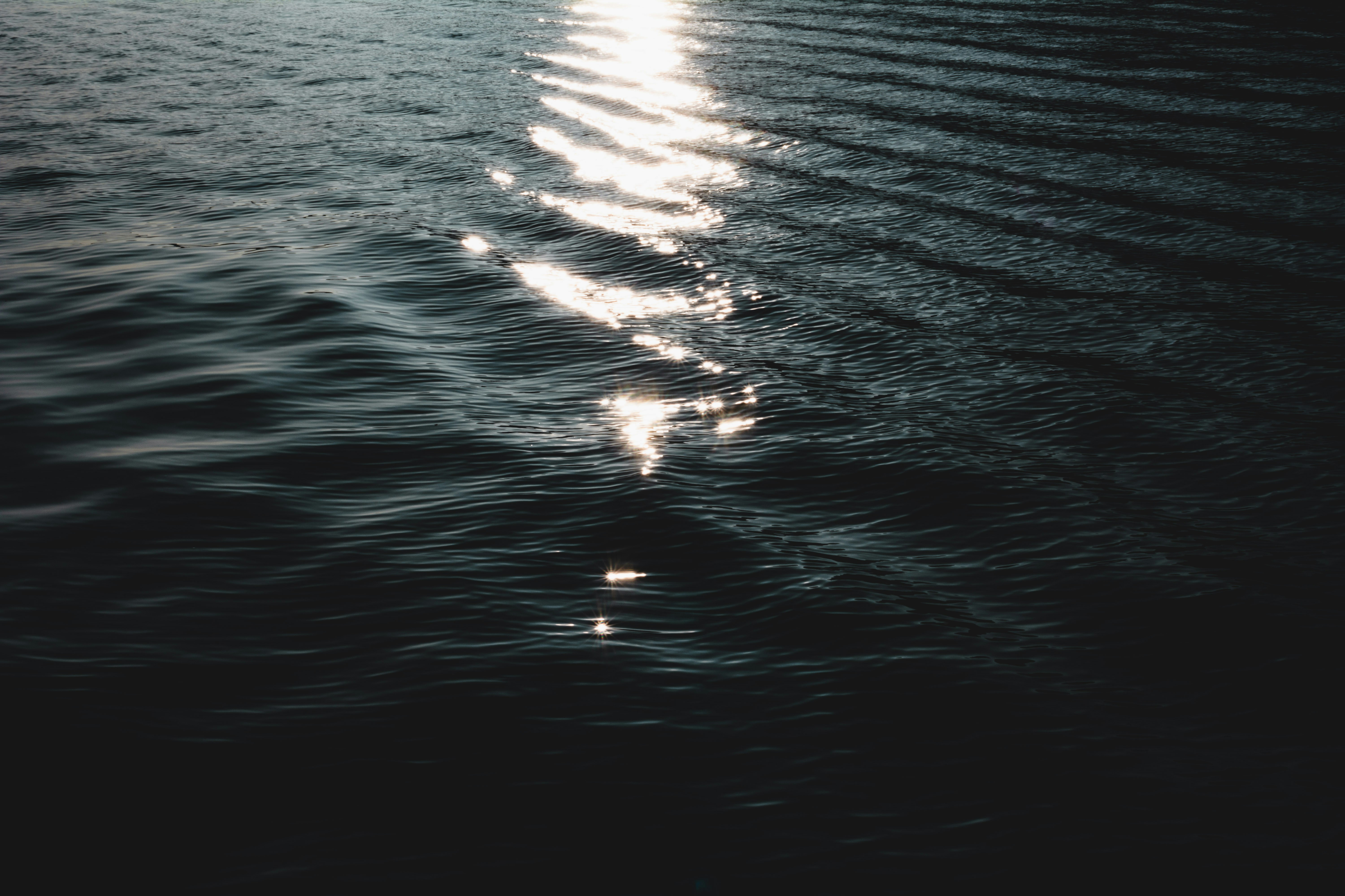 Photo by miguel_ind0