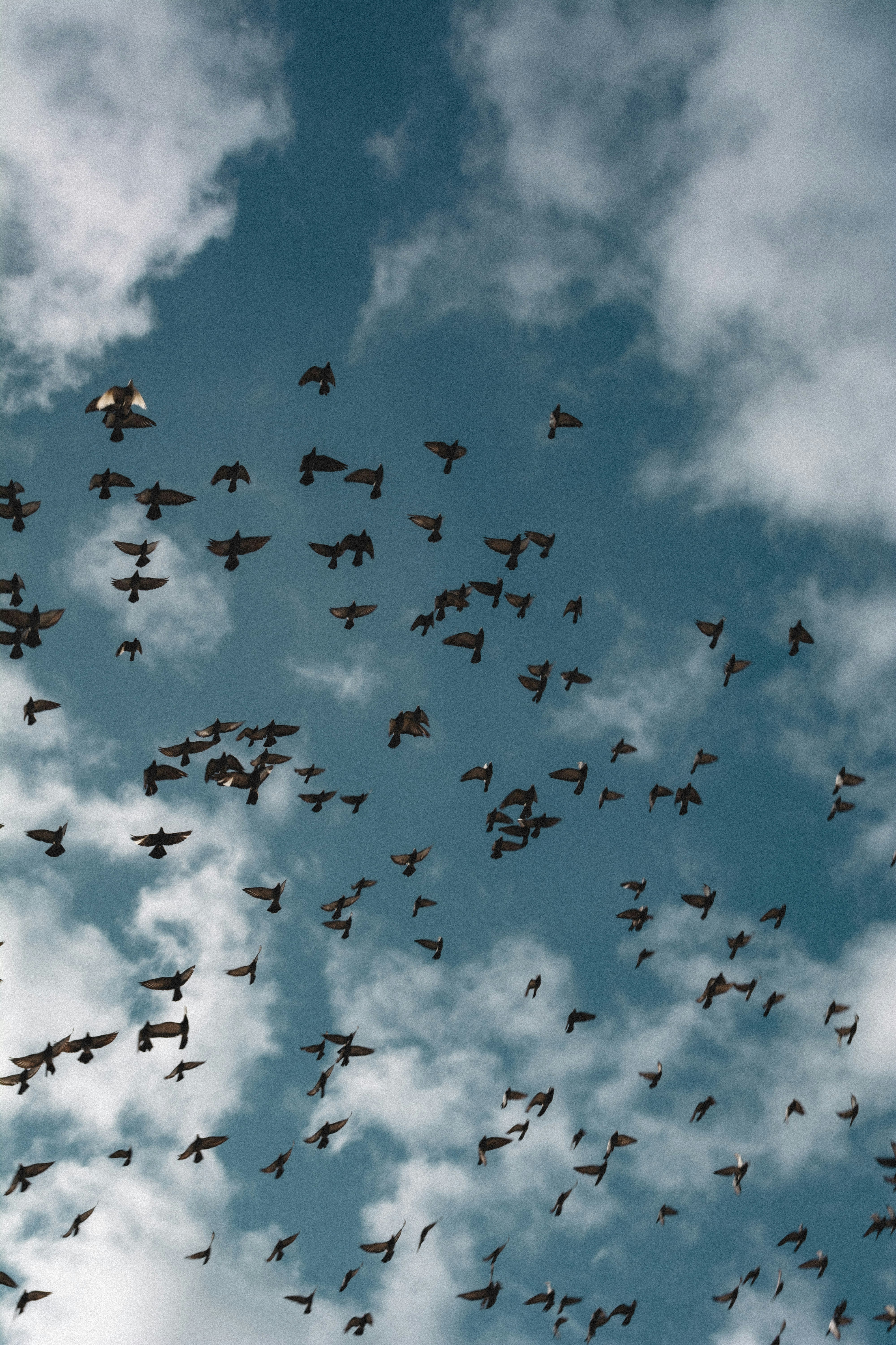 Photo by miguel_ind0