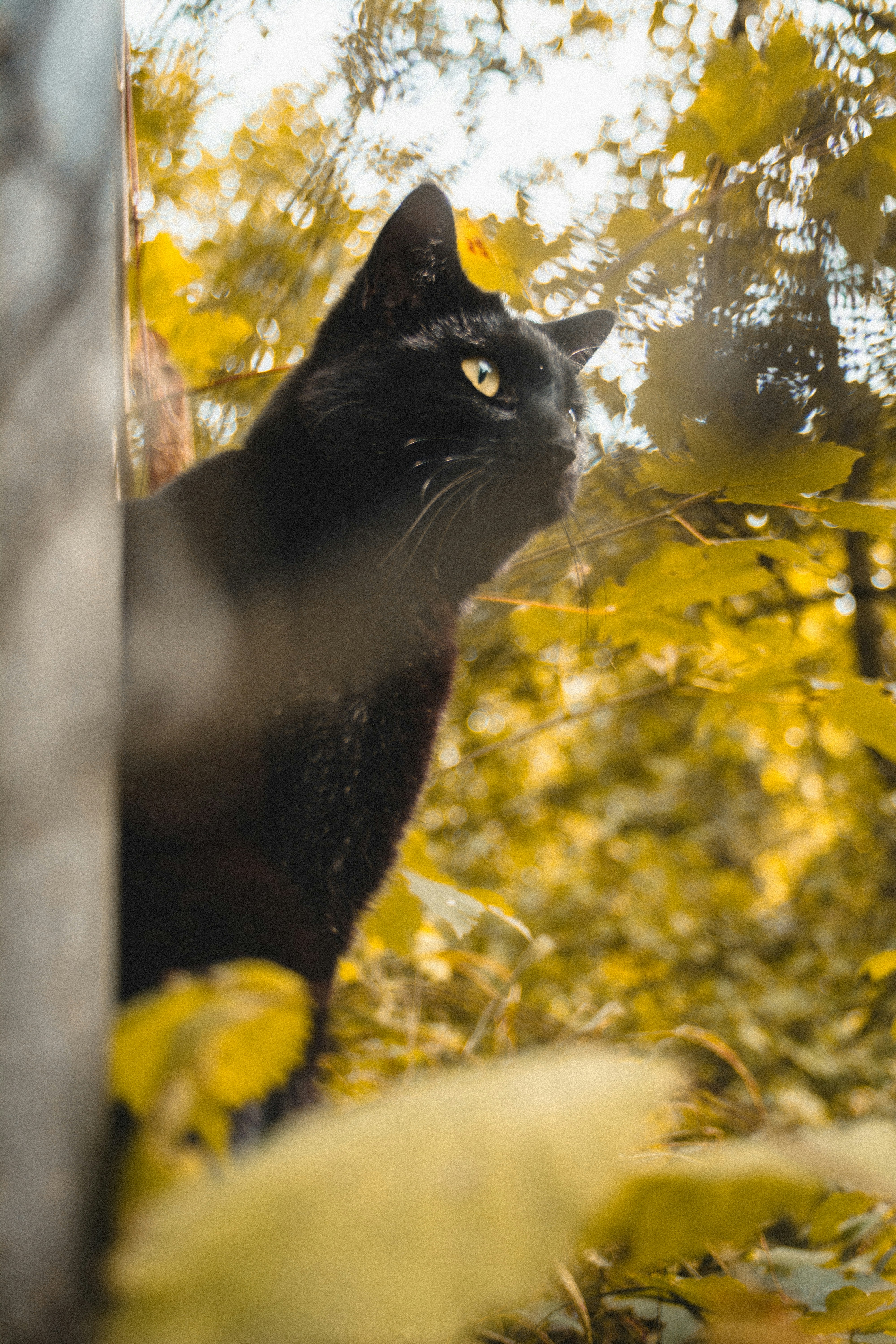 Photo by miguel_ind0