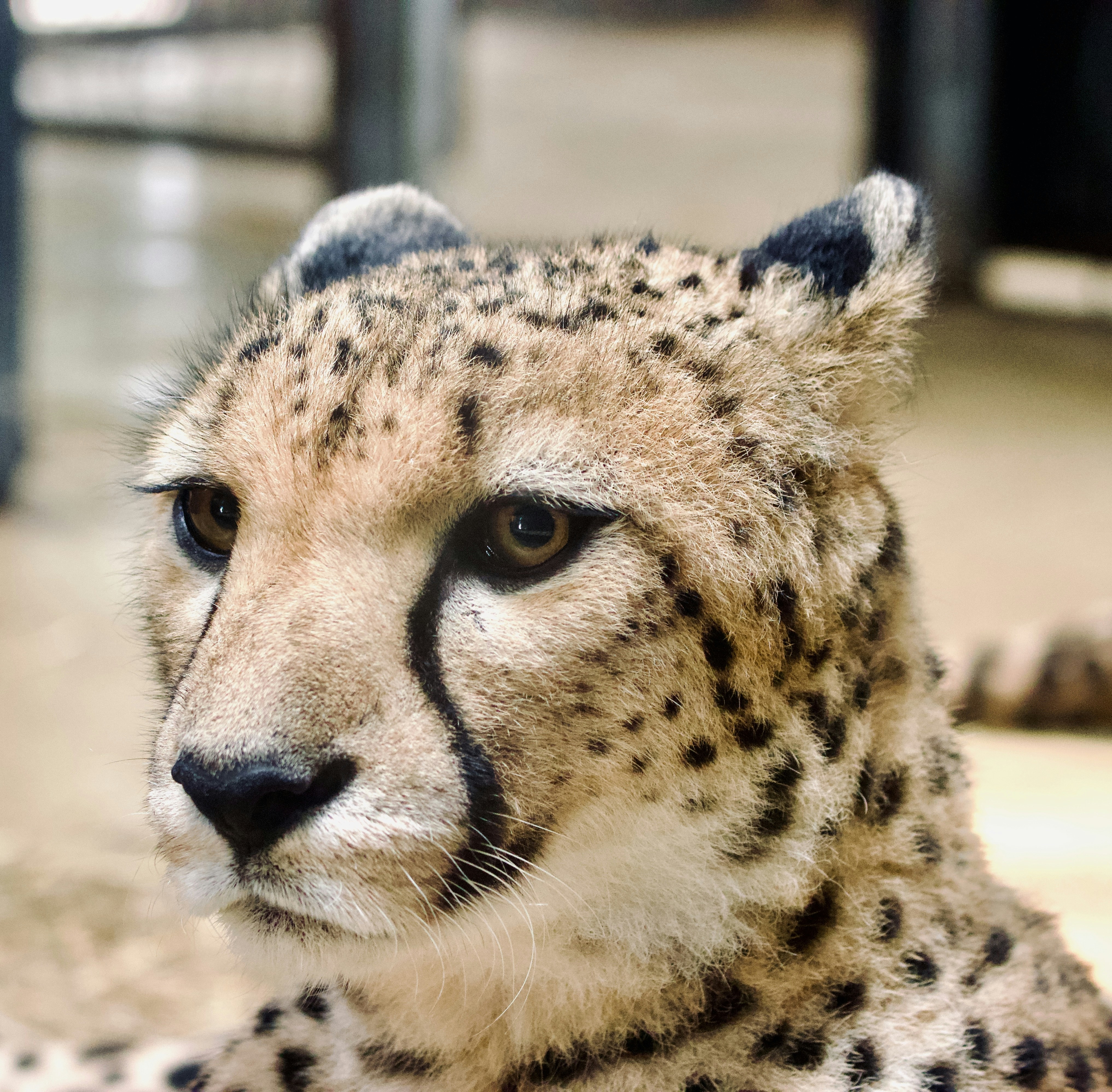 Photo by jakub_neskora