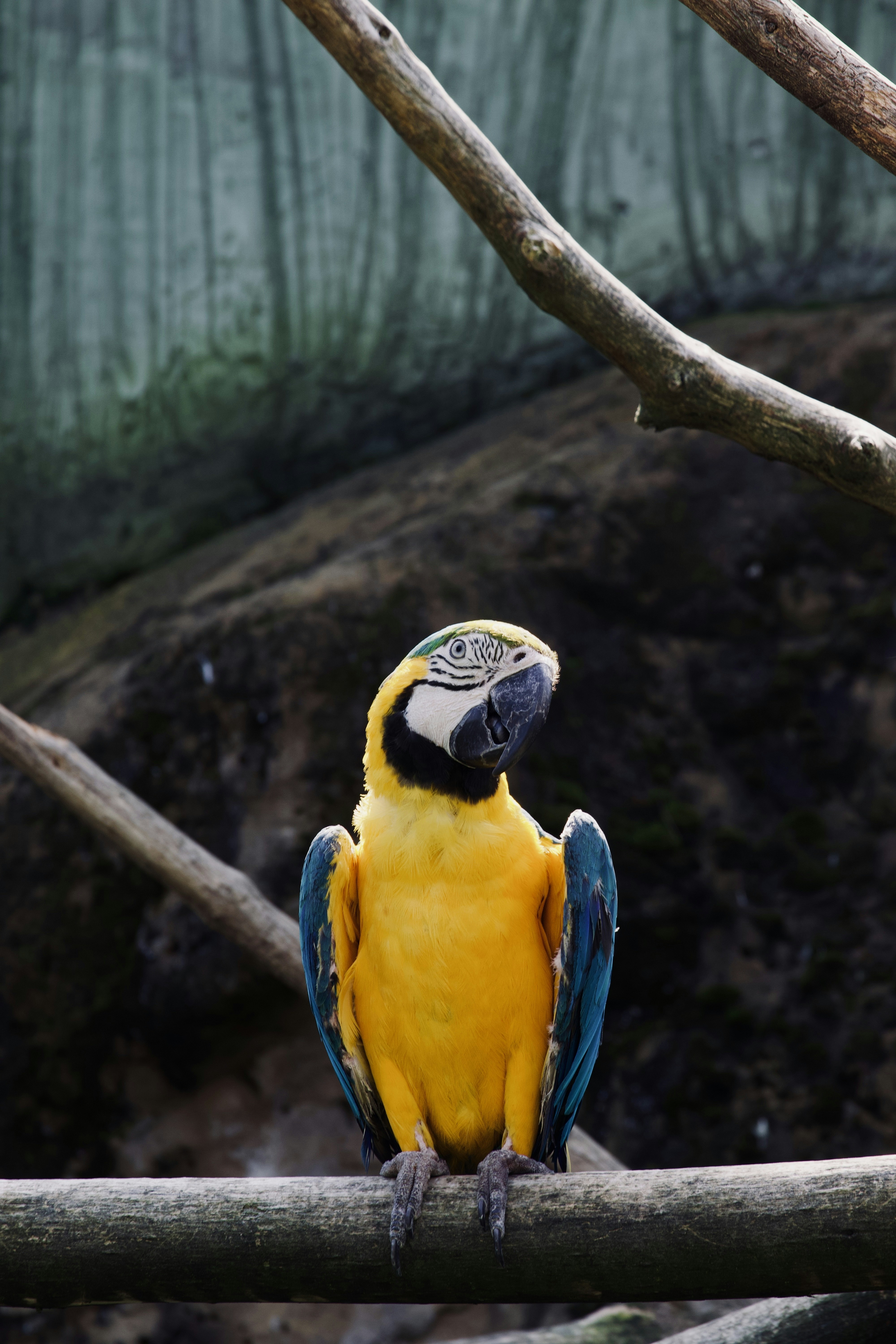 Photo by jakub_neskora