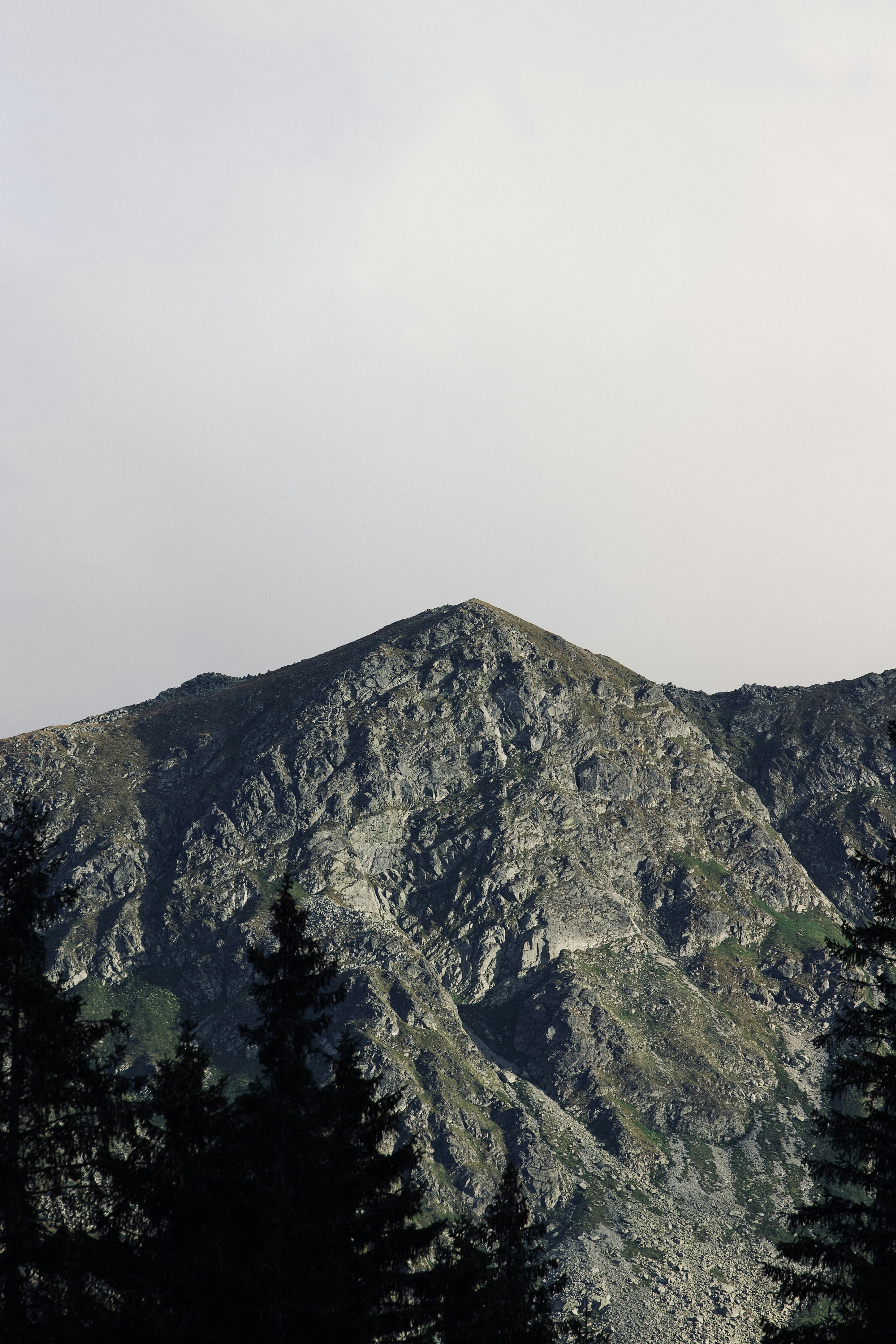 Photo by jakub_neskora