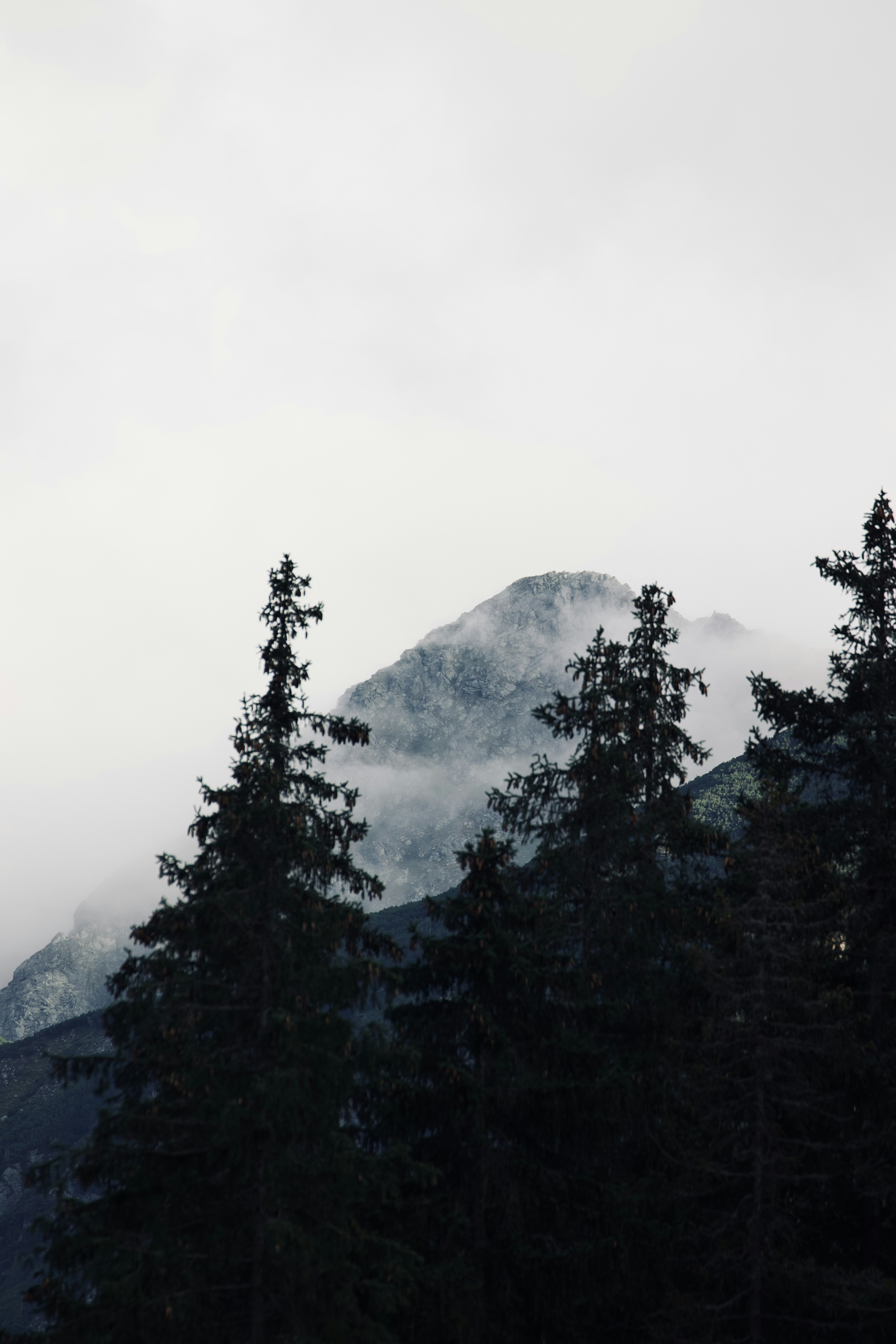 Photo by jakub_neskora