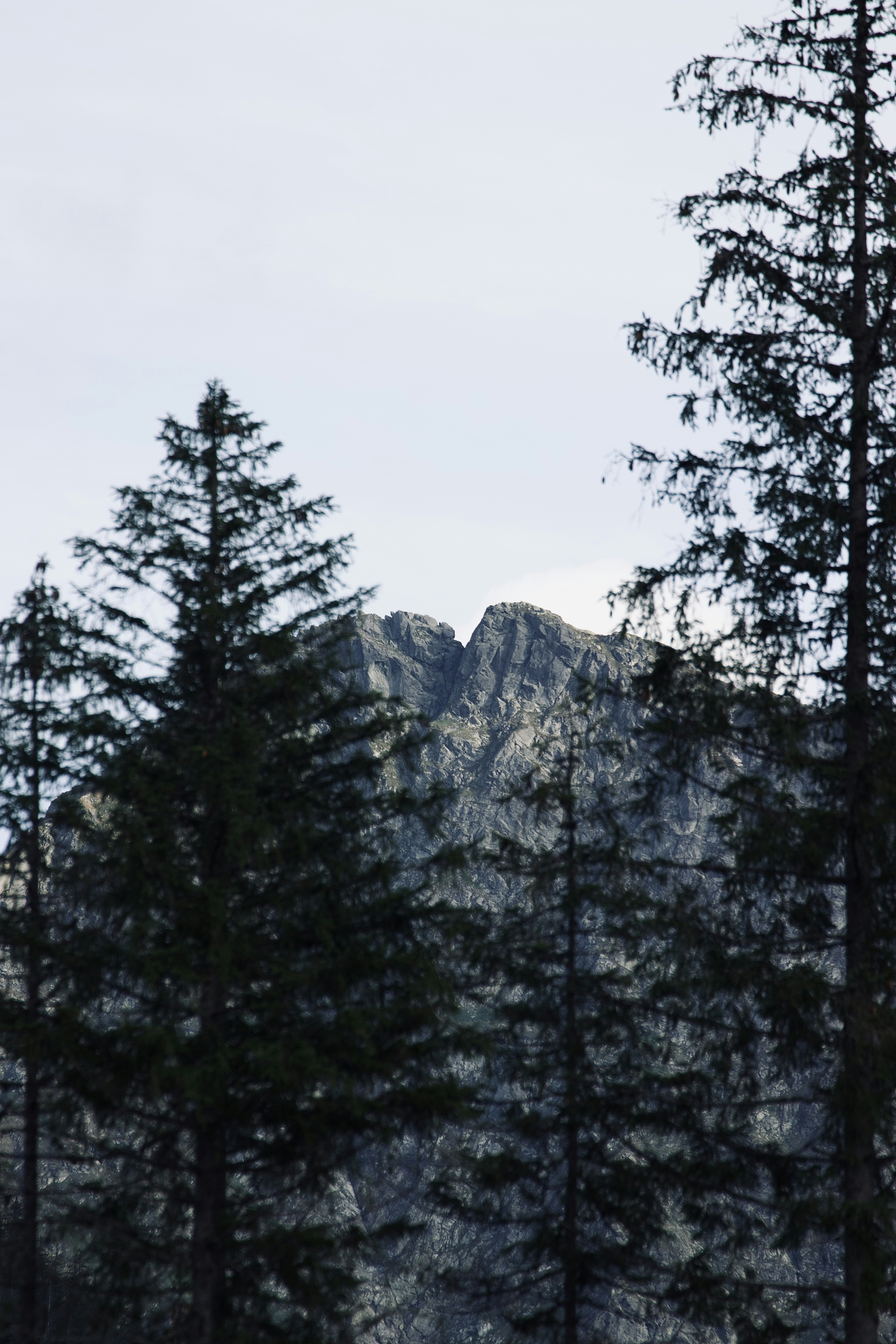 Photo by jakub_neskora