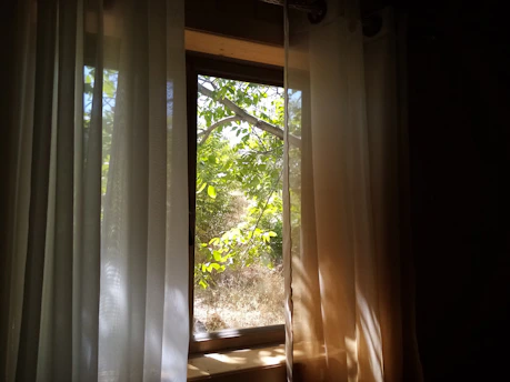 A serene morning scene with soft sunlight filtering through sheer curtains onto a peaceful meditation space adorned with natural elements.