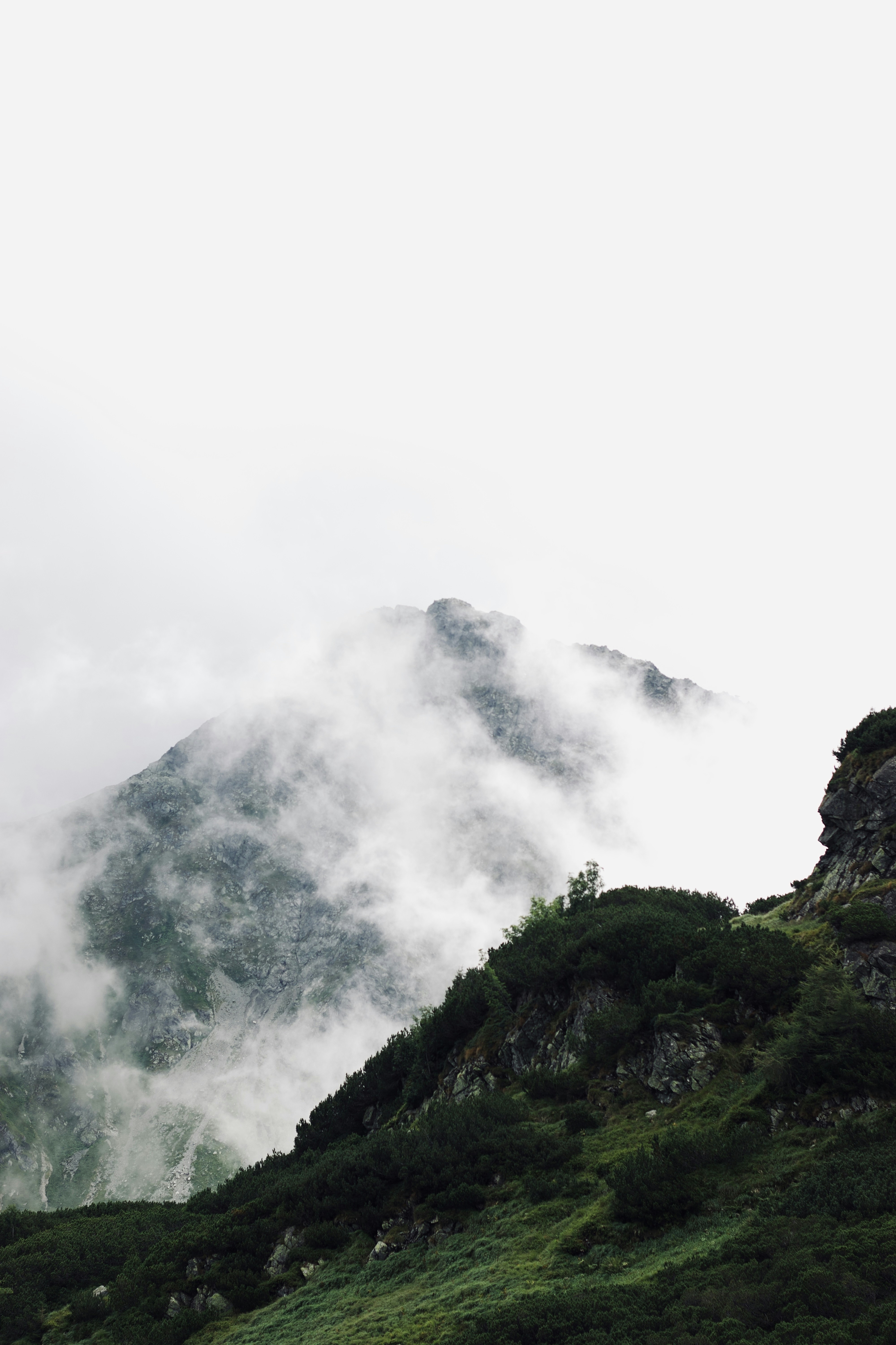 Photo by jakub_neskora