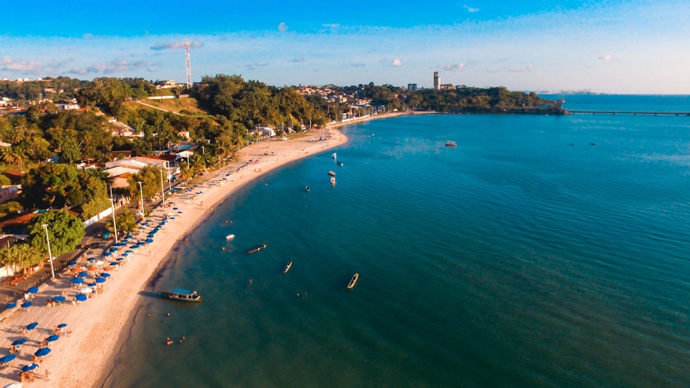 an aerial view of a beach with a lot of umbrellas