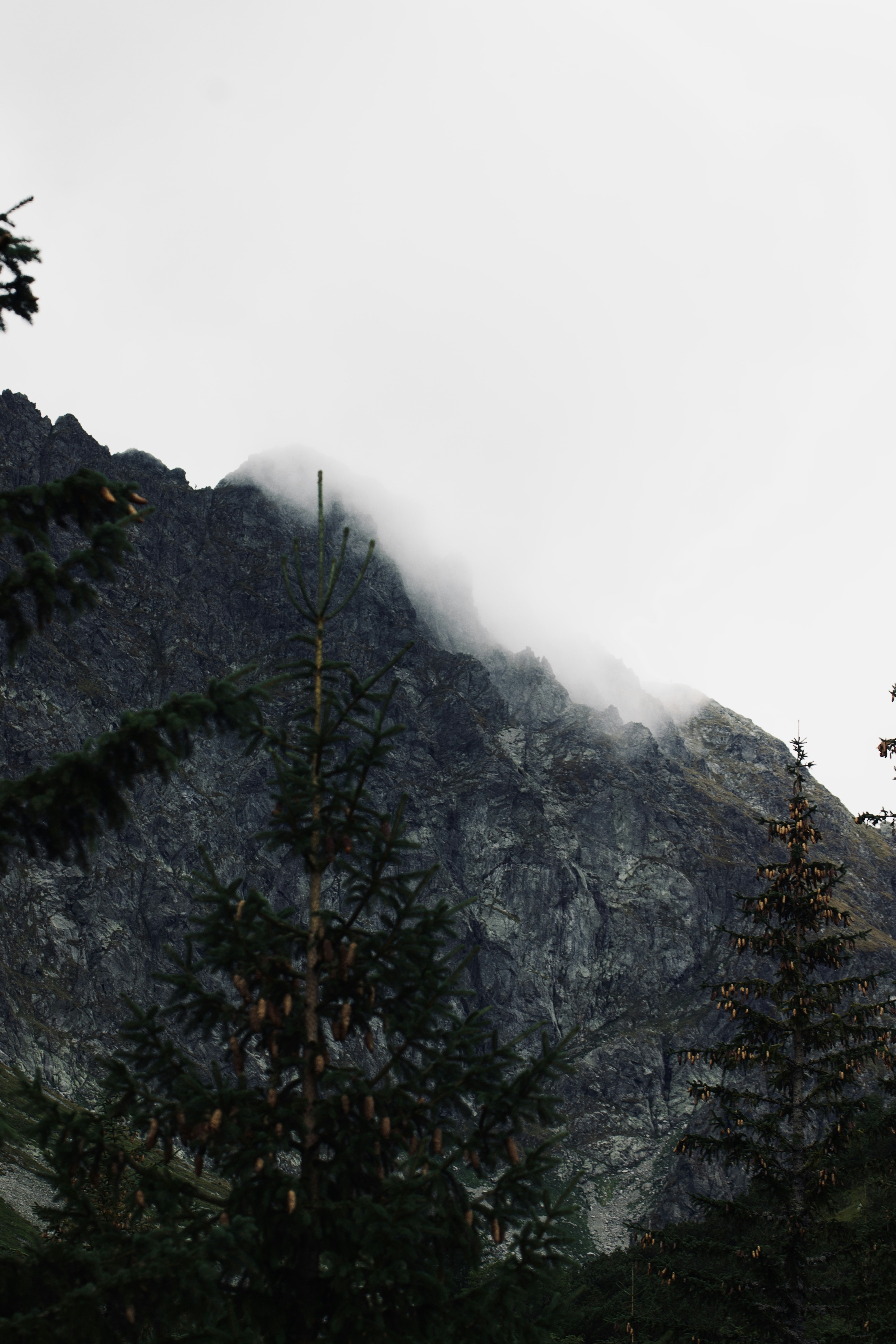 Photo by jakub_neskora