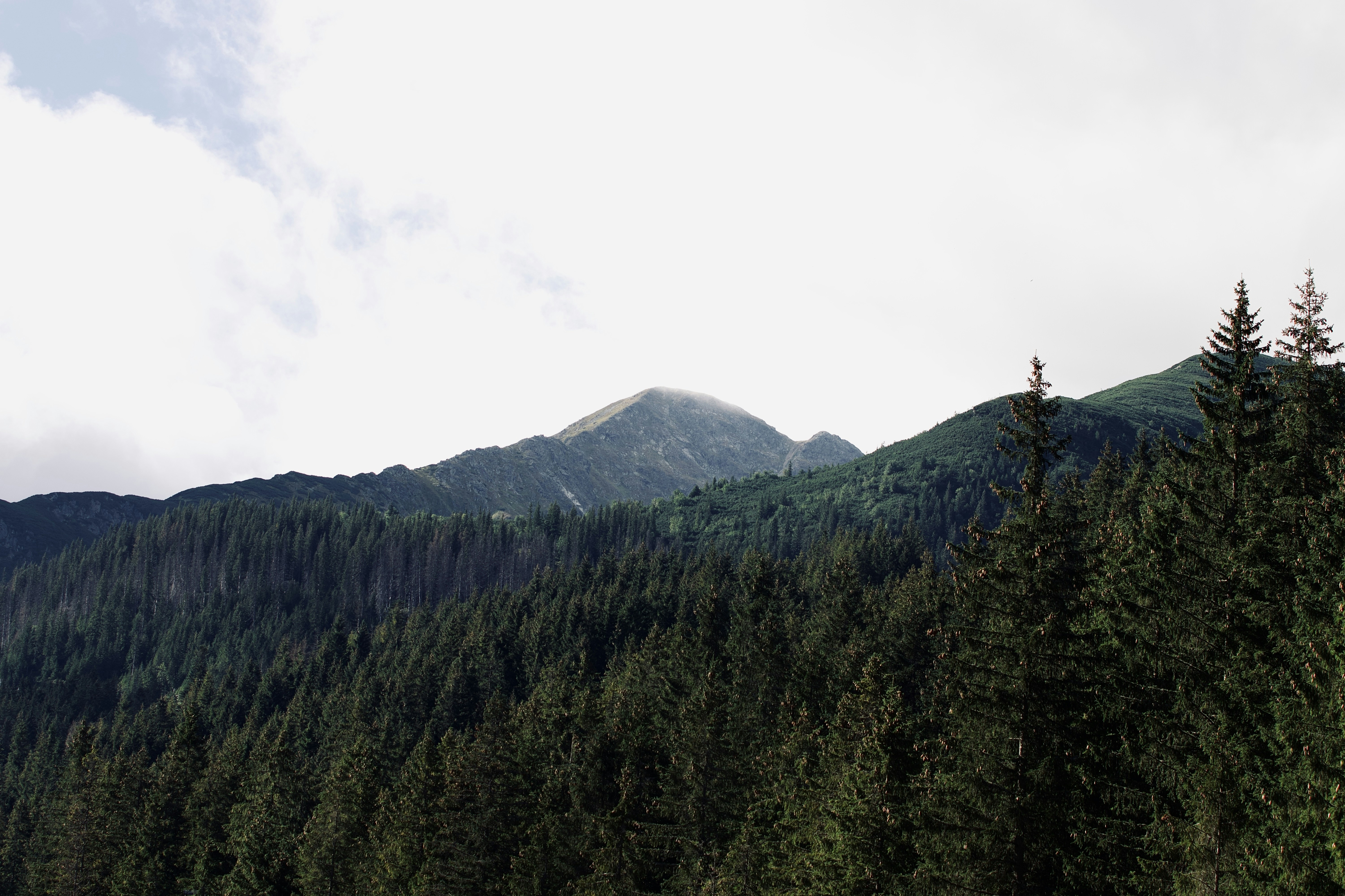 Photo by jakub_neskora