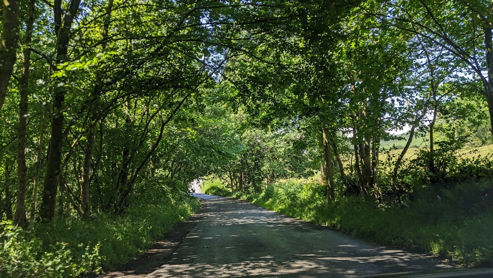 a car driving down a tree lined road