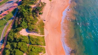 an aerial view of a beach and ocean