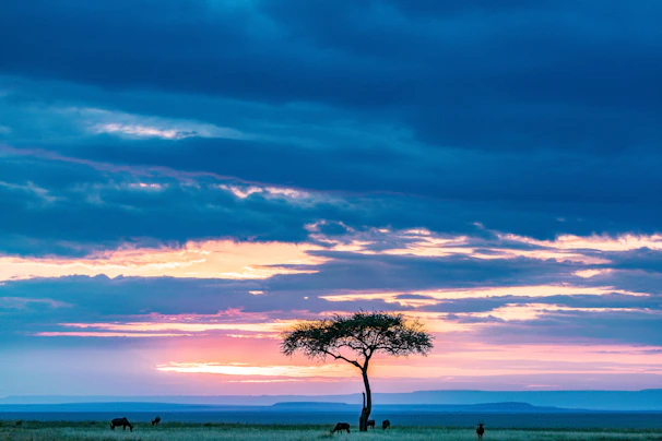 A peaceful sunrise over the vast savannah with silhouettes of grazing antelopes and acacia trees.