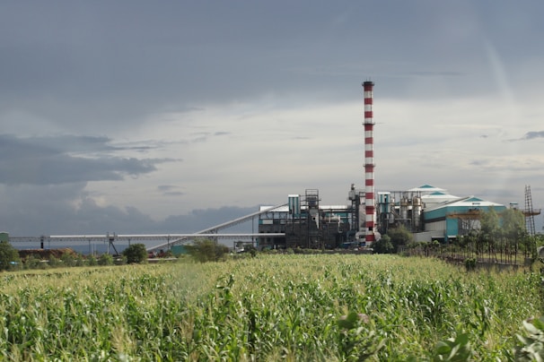 A large industrial facility with a prominent red and white striped smokestack is situated in the background, surrounded by a field of green plants. The sky is overcast, adding a sense of heaviness to the atmosphere. Various industrial structures and machinery are visible, indicating a factory or power plant.