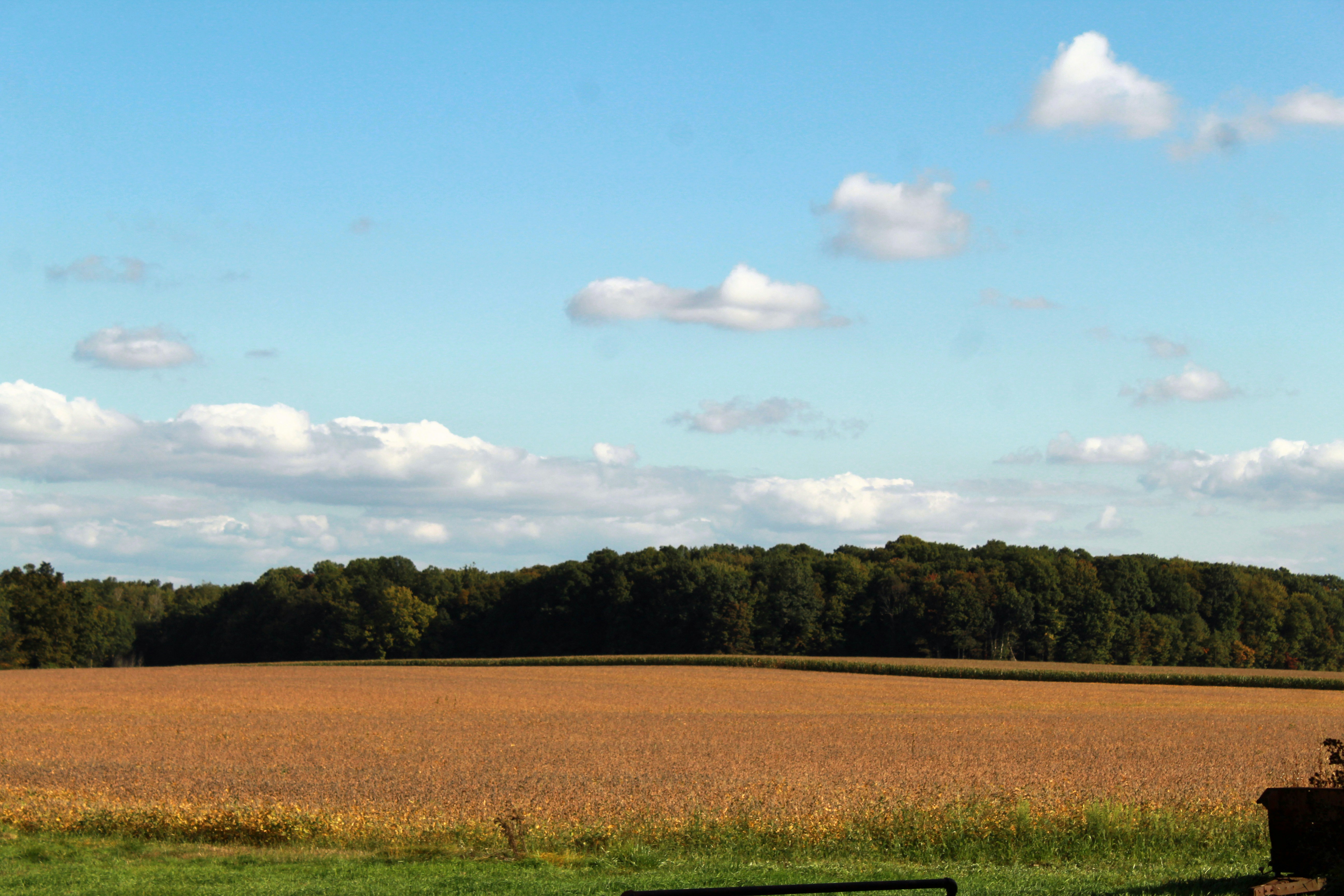 Photo by chuckscandidcaptures