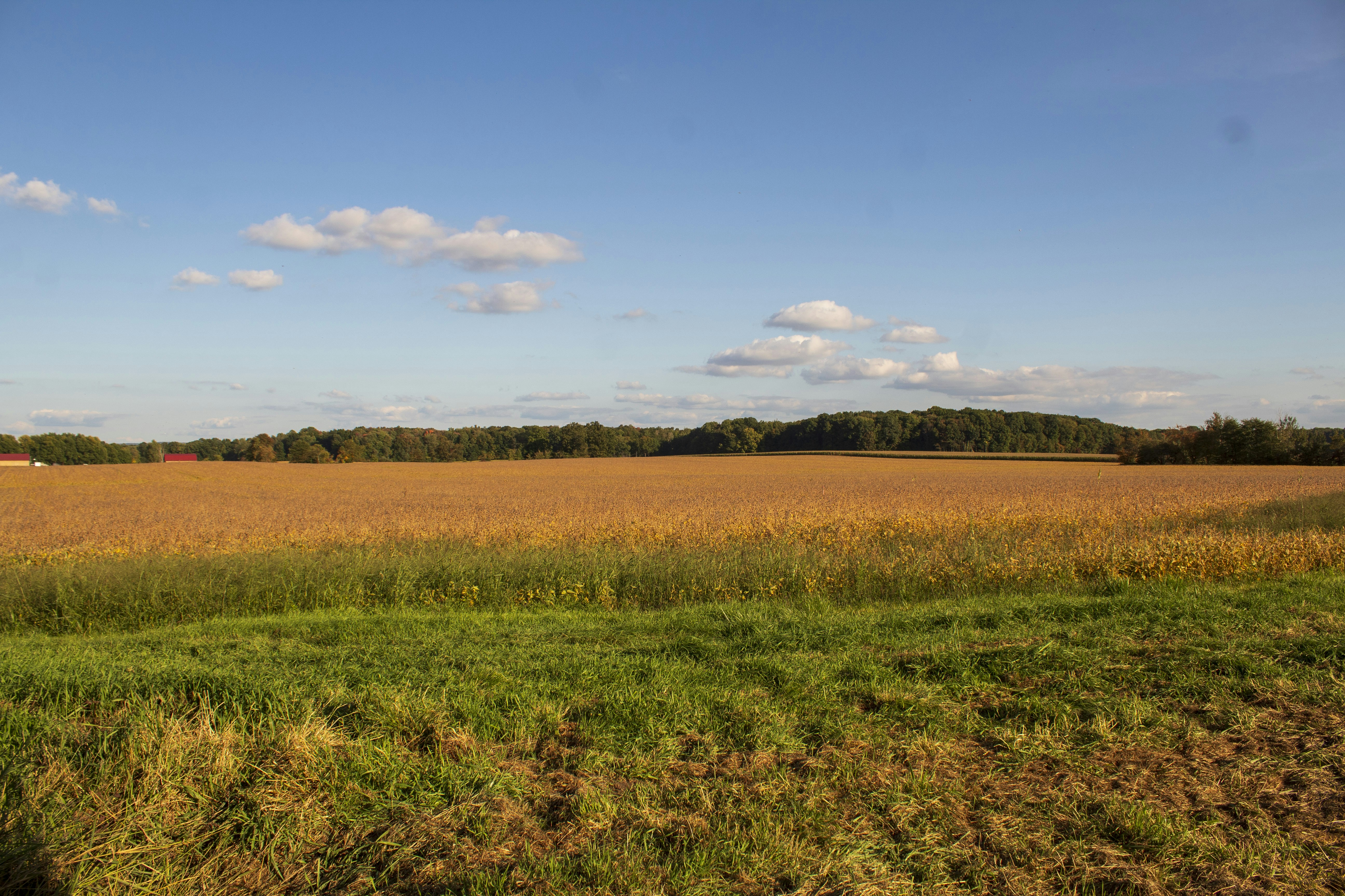 Photo by chuckscandidcaptures