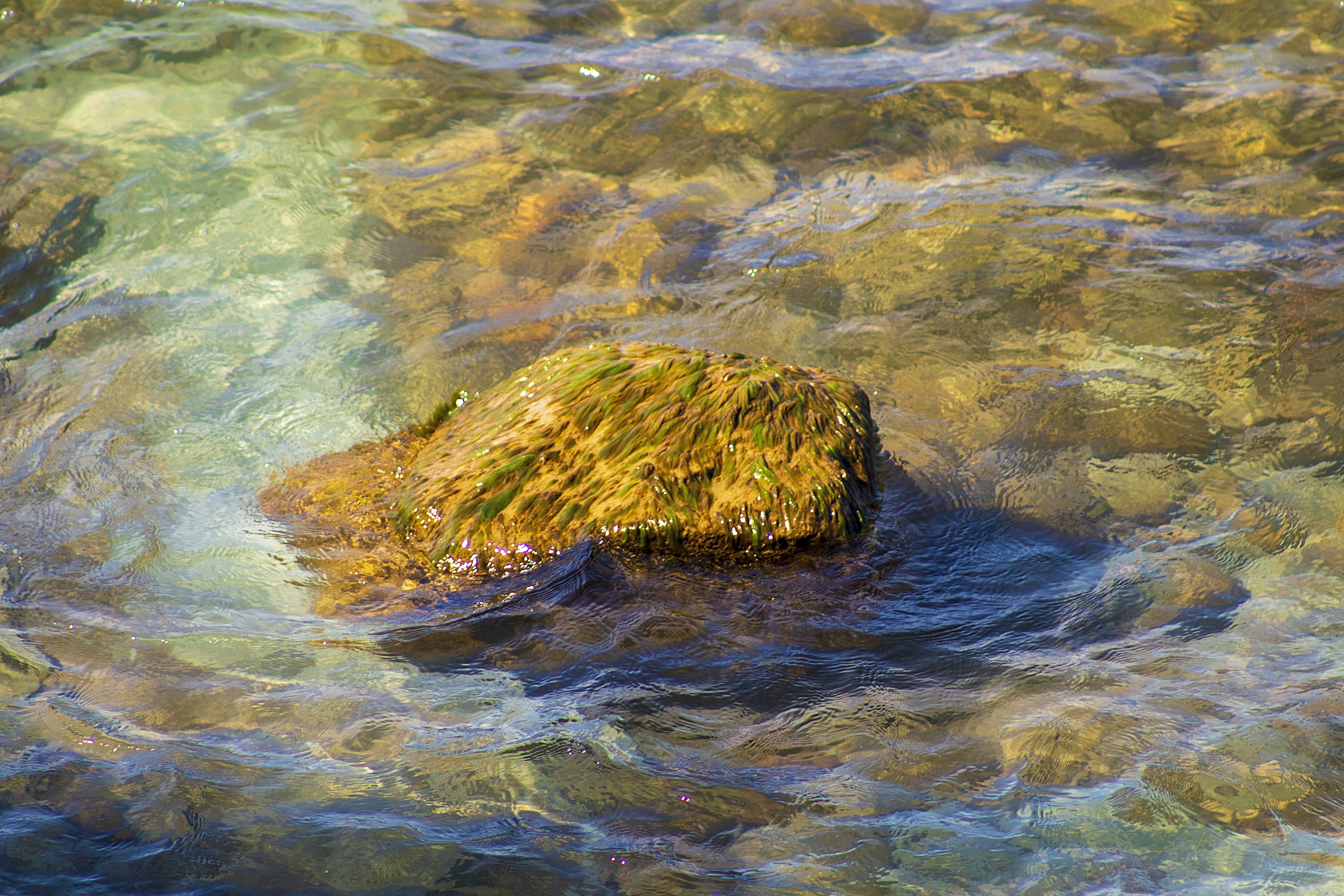 Photo by chuckscandidcaptures