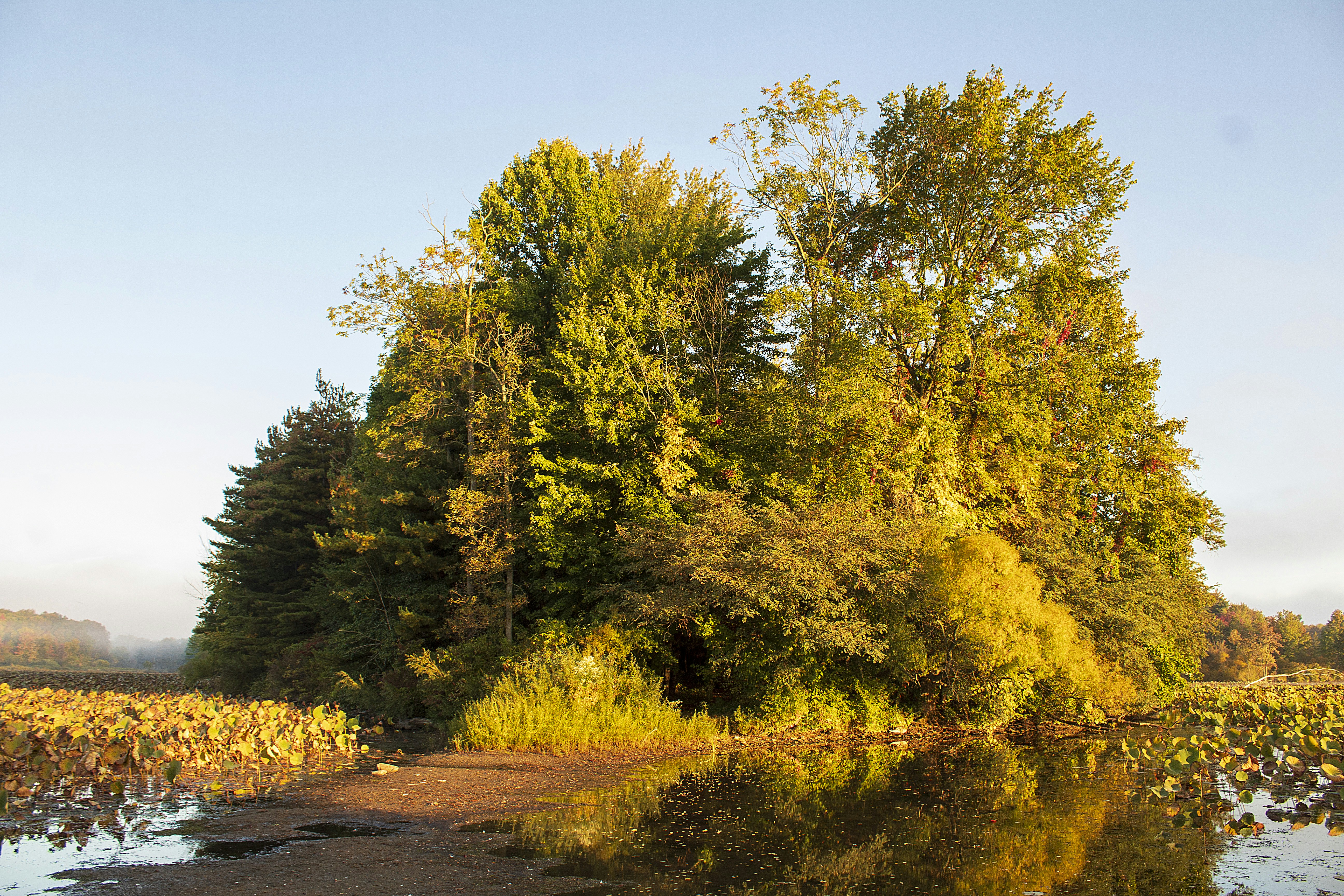 Photo by chuckscandidcaptures