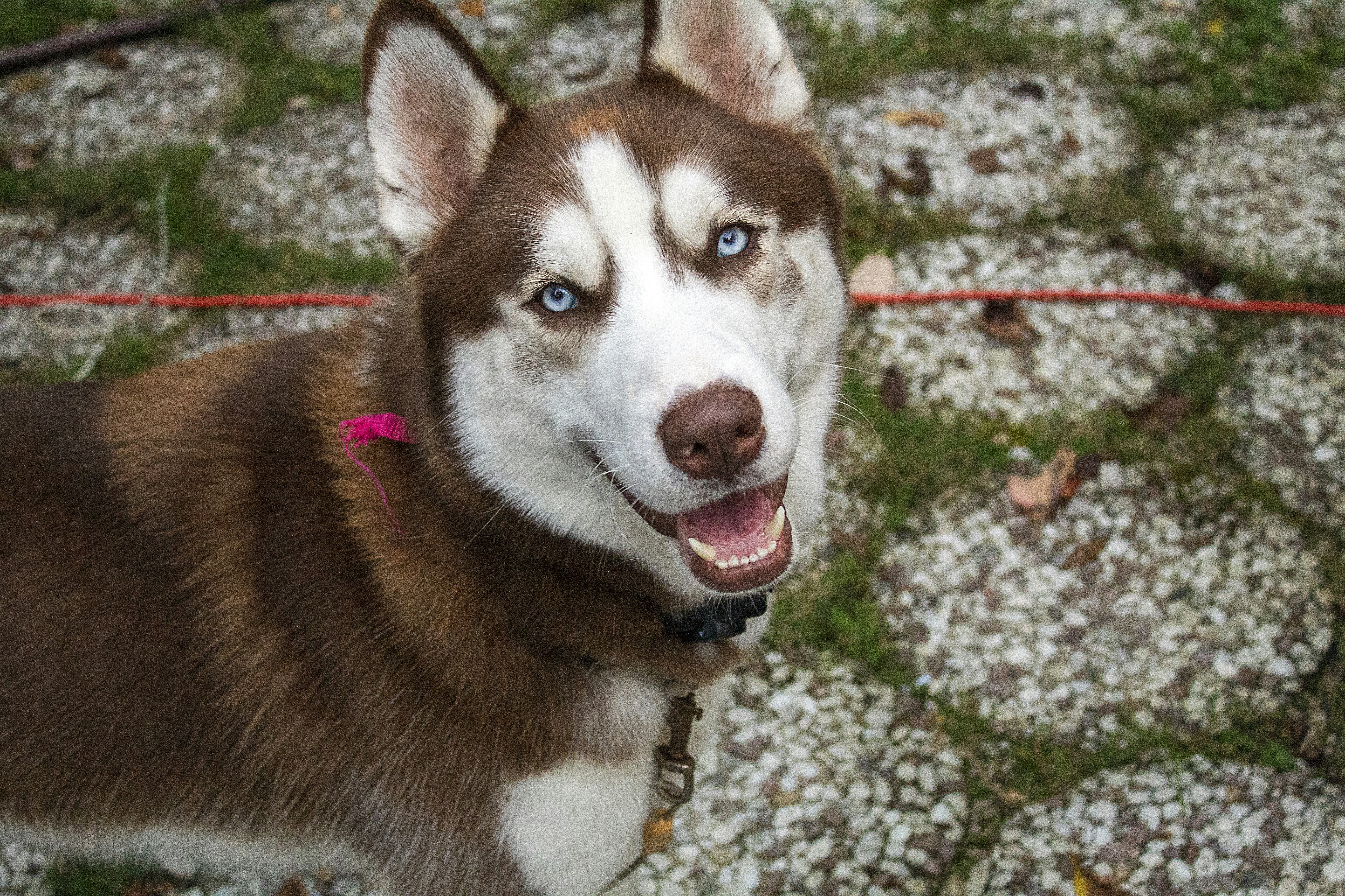 Photo by chuckscandidcaptures