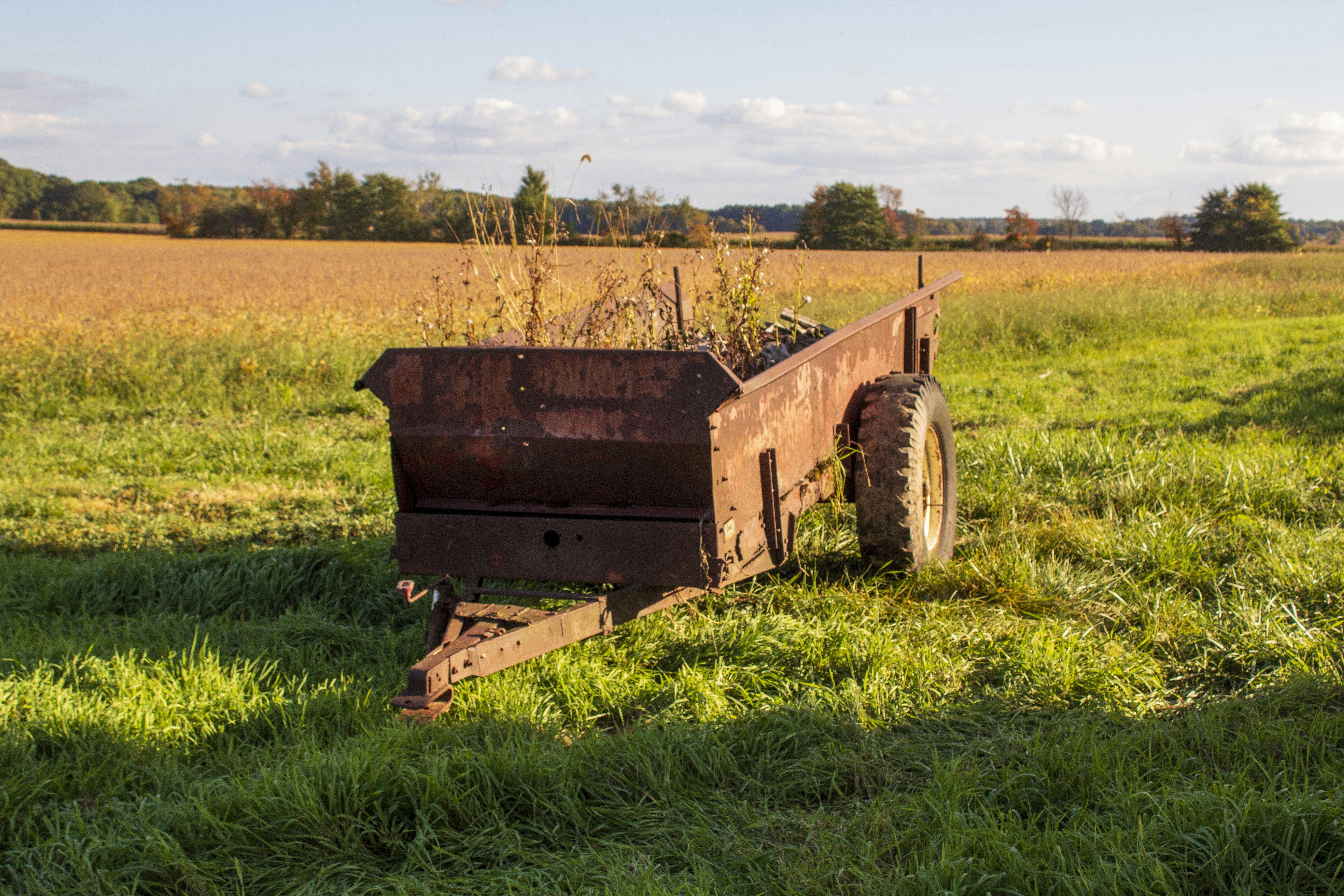 Photo by chuckscandidcaptures