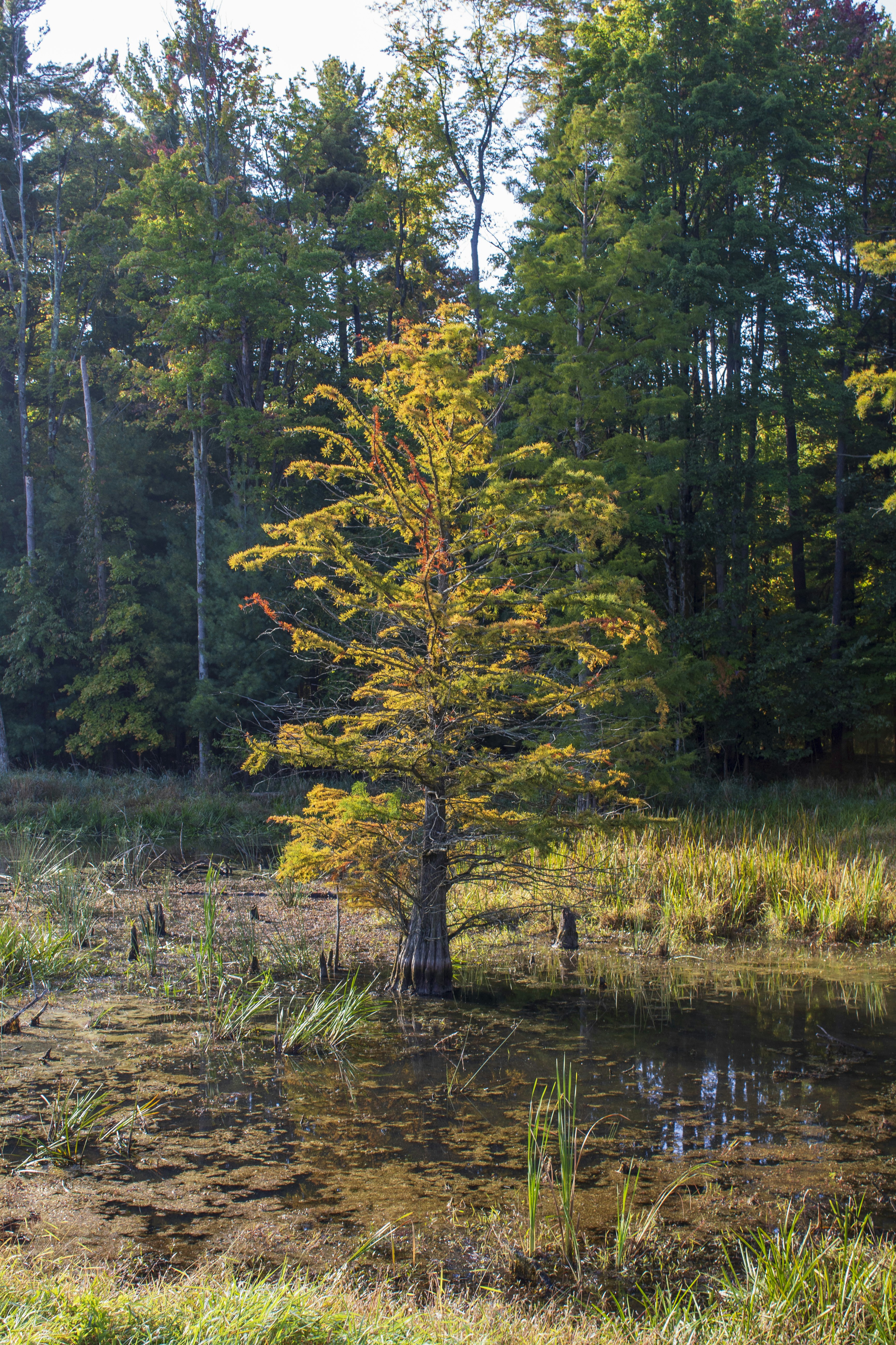 Photo by chuckscandidcaptures