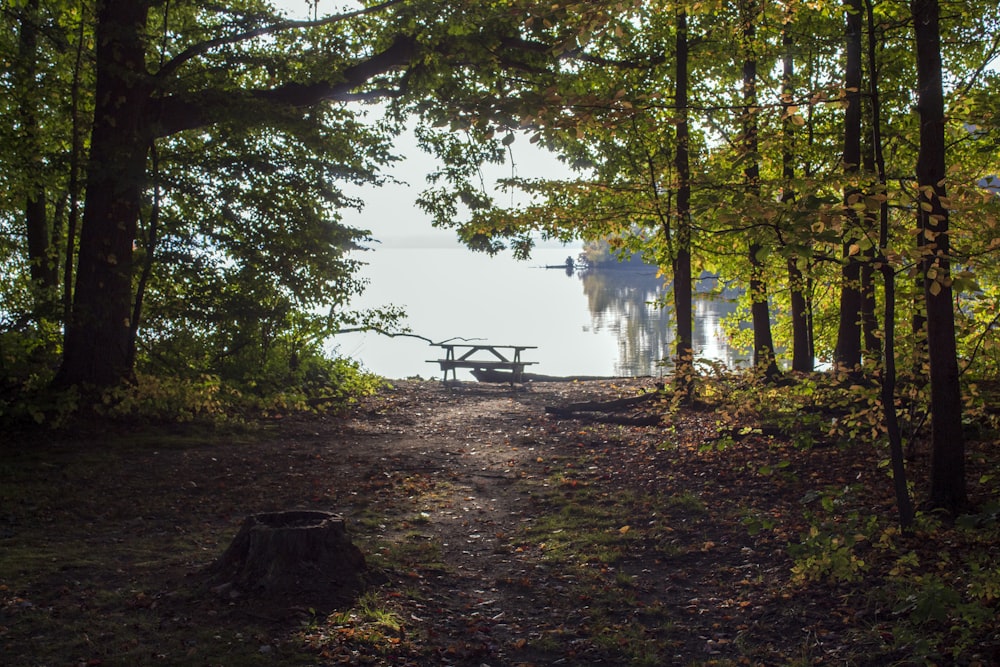 a picnic table sitting in the middle of a forest