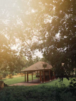 A peaceful yoga pavilion open to the sky, surrounded by palm trees and greenery.