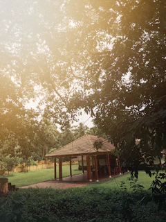 A peaceful yoga pavilion open to the sky, surrounded by palm trees and greenery.