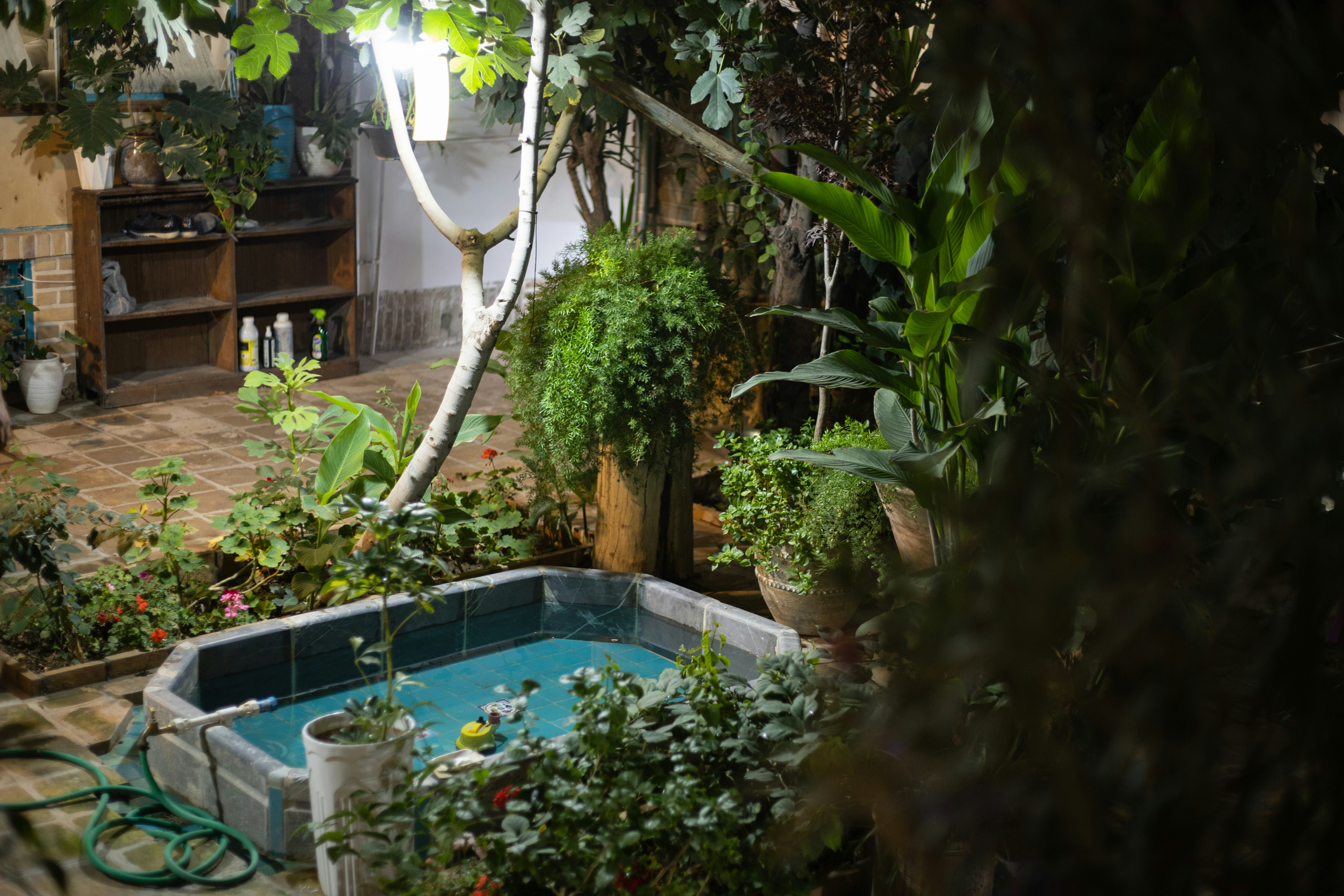 Photo by kavehrasooli