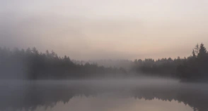 a foggy lake with trees in the background