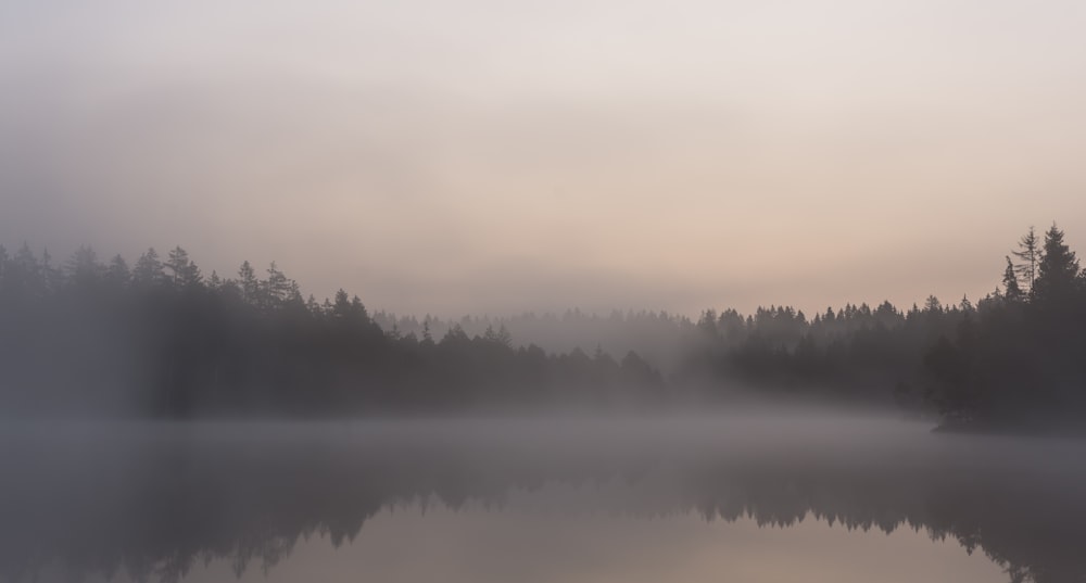 a foggy lake with trees in the background