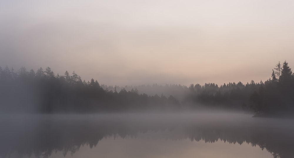 un lac brumeux avec des arbres en arrière-plan