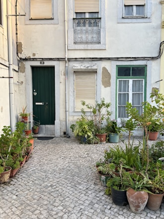 A courtyard with a collection of potted plants arranged on a cobblestone ground. The background features a beige, two-story building with a dark green door and several windows with closed shutters. Some paint on the building's facade appears worn and chipped, adding a rustic charm. The plants vary in type and are housed in different colored pots.