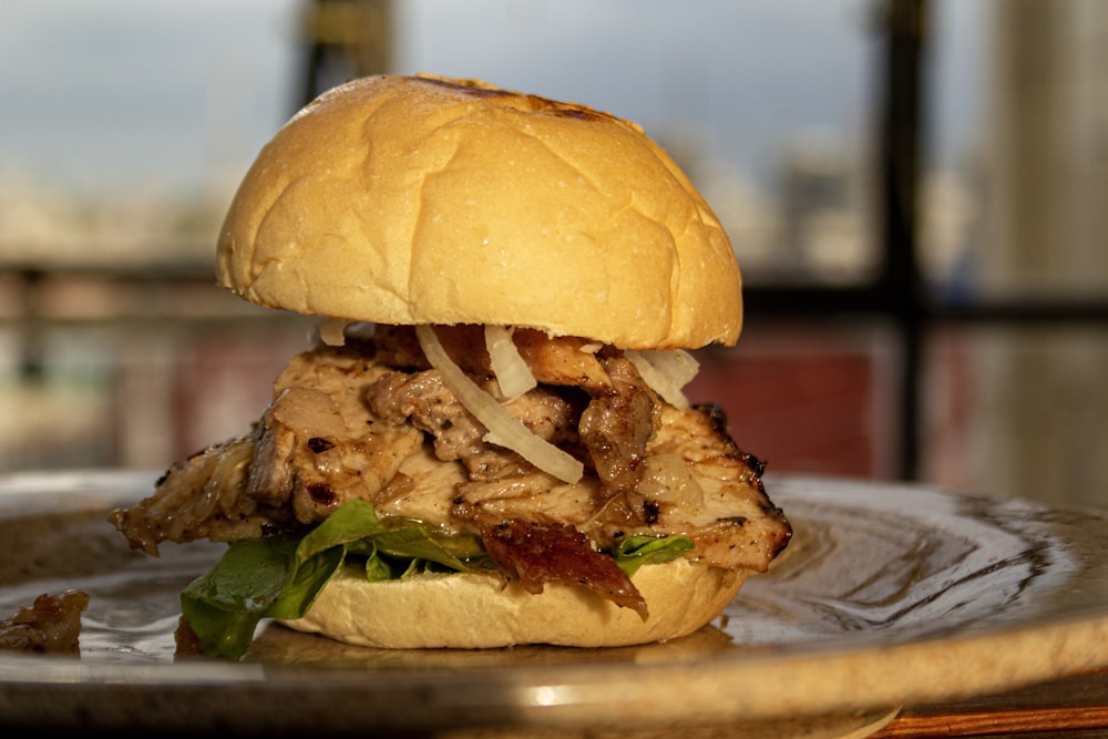 a pulled pork sandwich on a plate