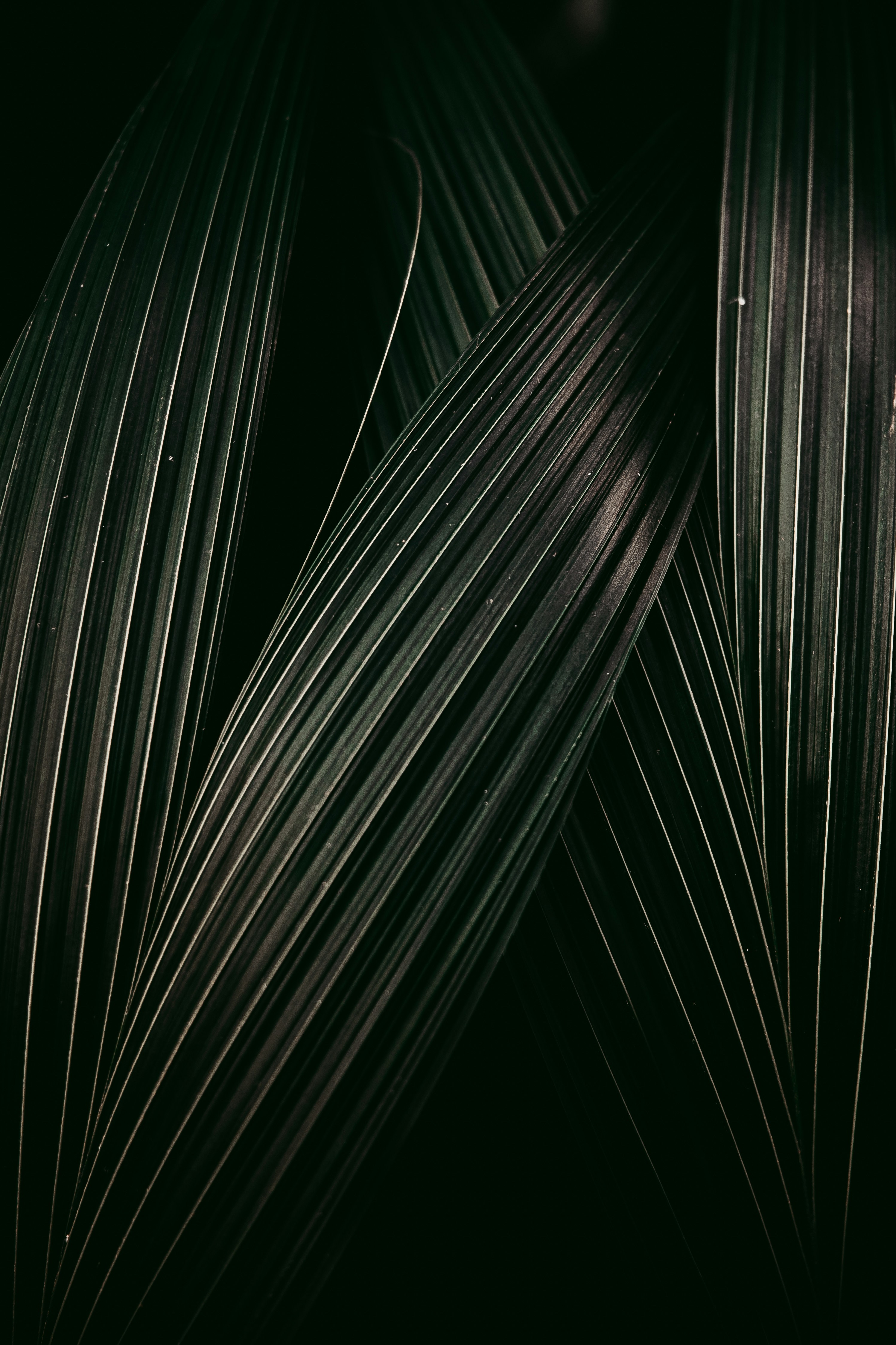 Part 3:What to Do About too much Aboutness