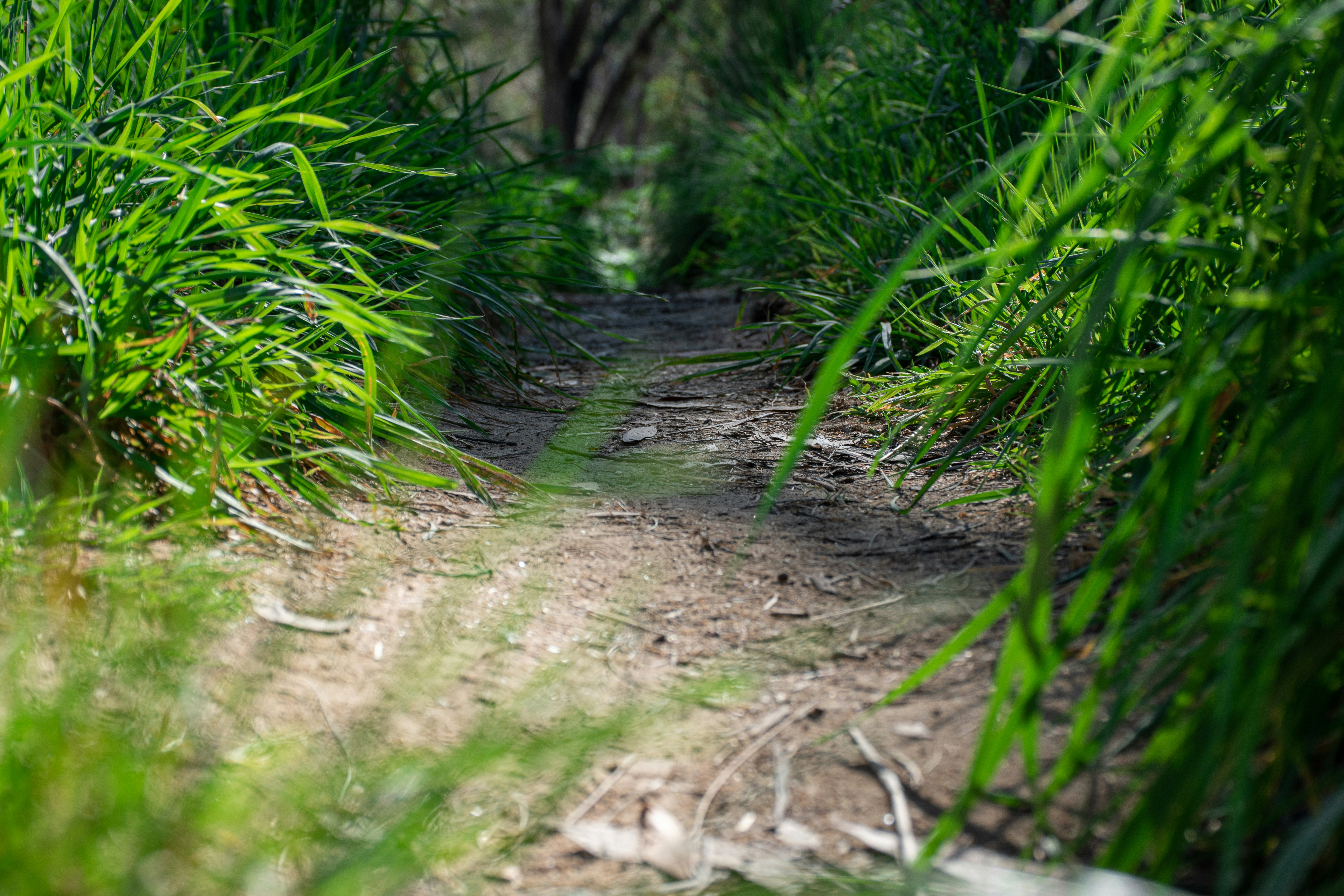 Photo by adam_skrinnikoff