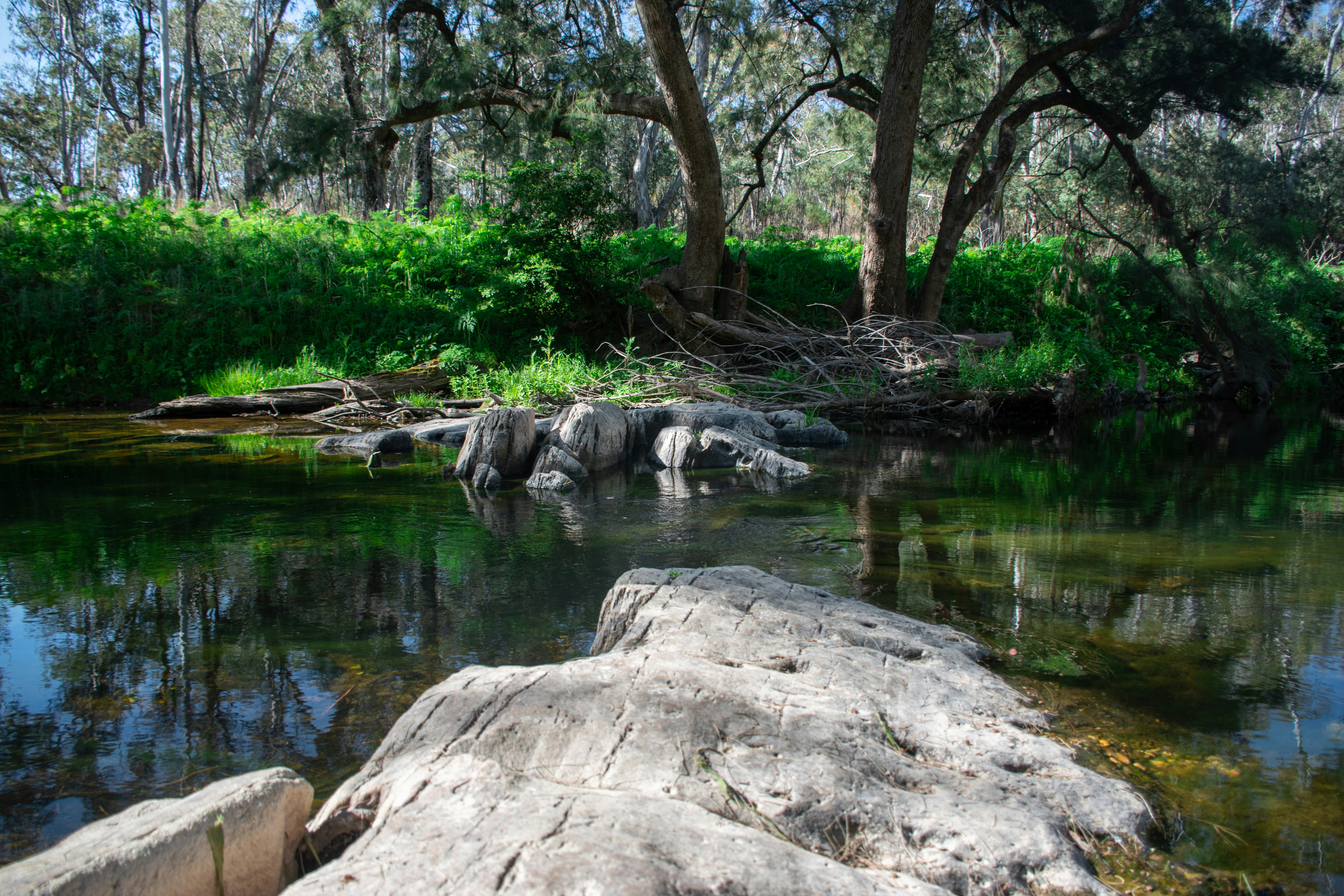 Photo by adam_skrinnikoff