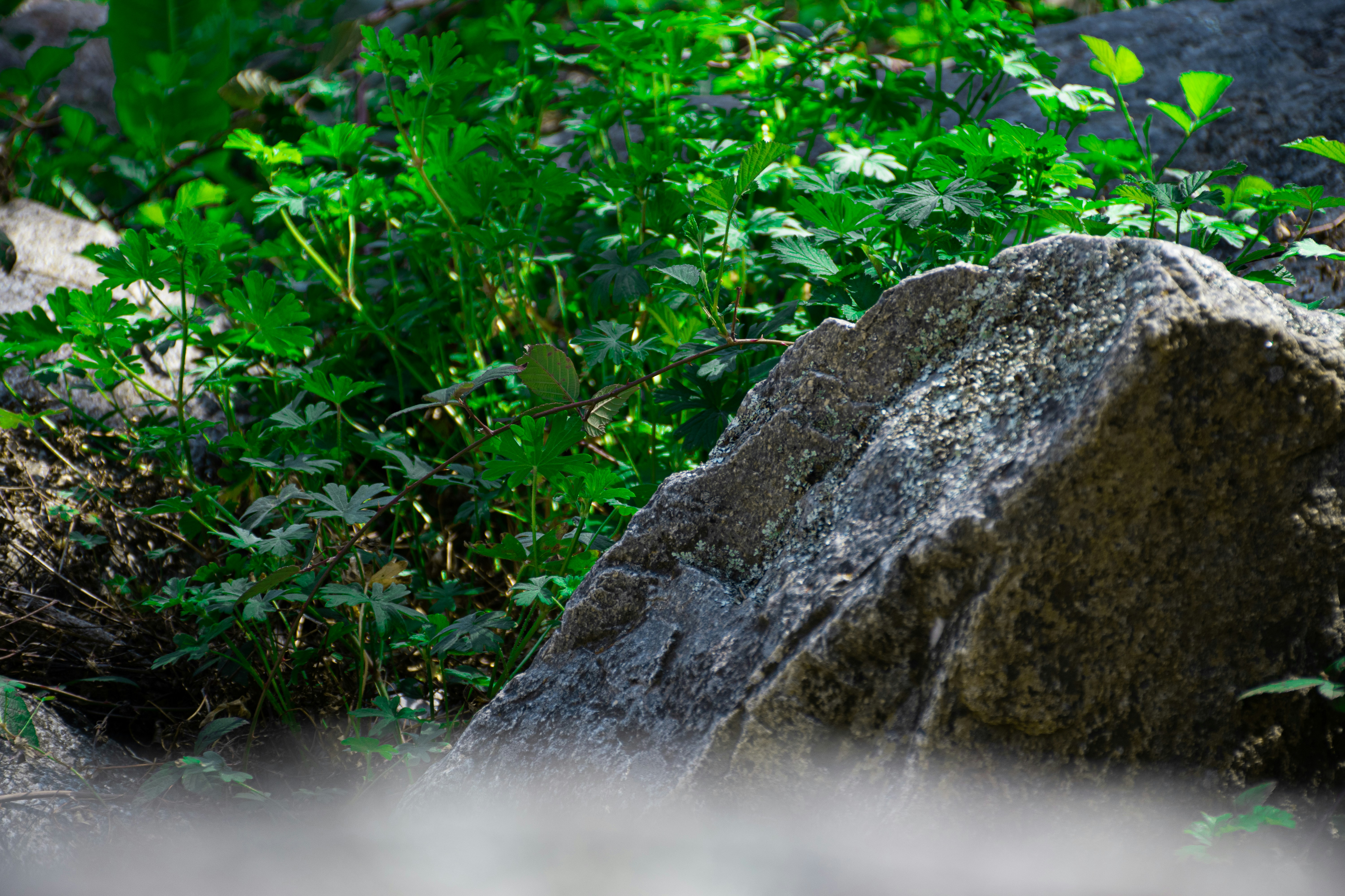 Photo by adam_skrinnikoff