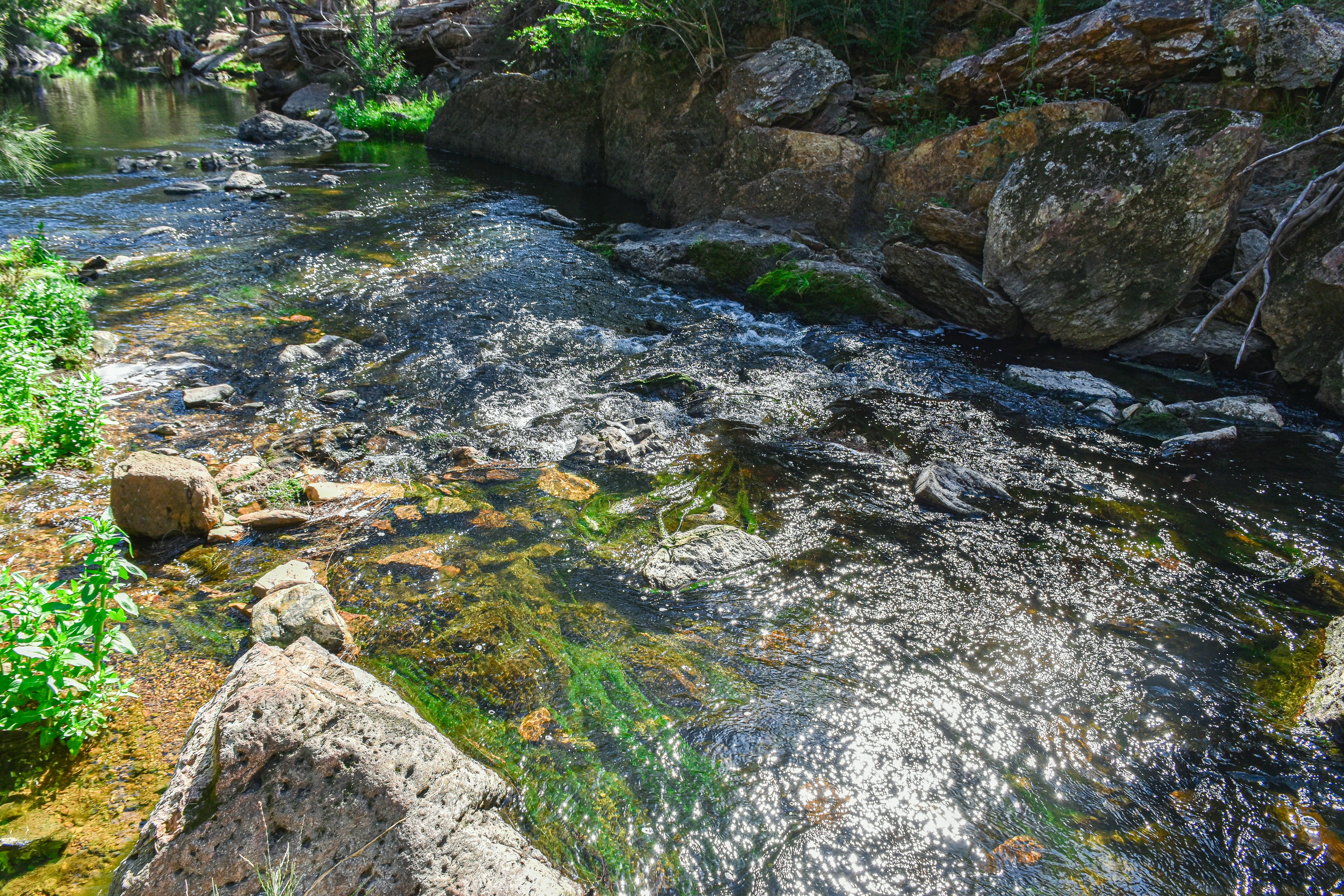 Photo by adam_skrinnikoff