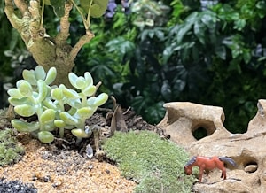 Jardín Miniatura Personalizado Único
