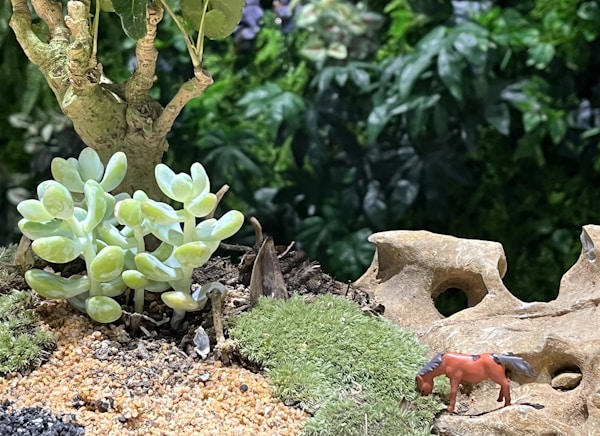 Jardín Miniatura Personalizado Único