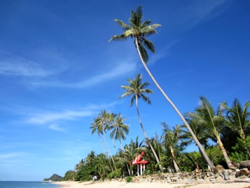 A tropical beach scene with tall palm trees leaning towards the ocean. The sky is clear and blue, creating a vibrant and sunny atmosphere. The coastline curves gently into the distance, with lush greenery and a small building with a red roof nestled among the trees.