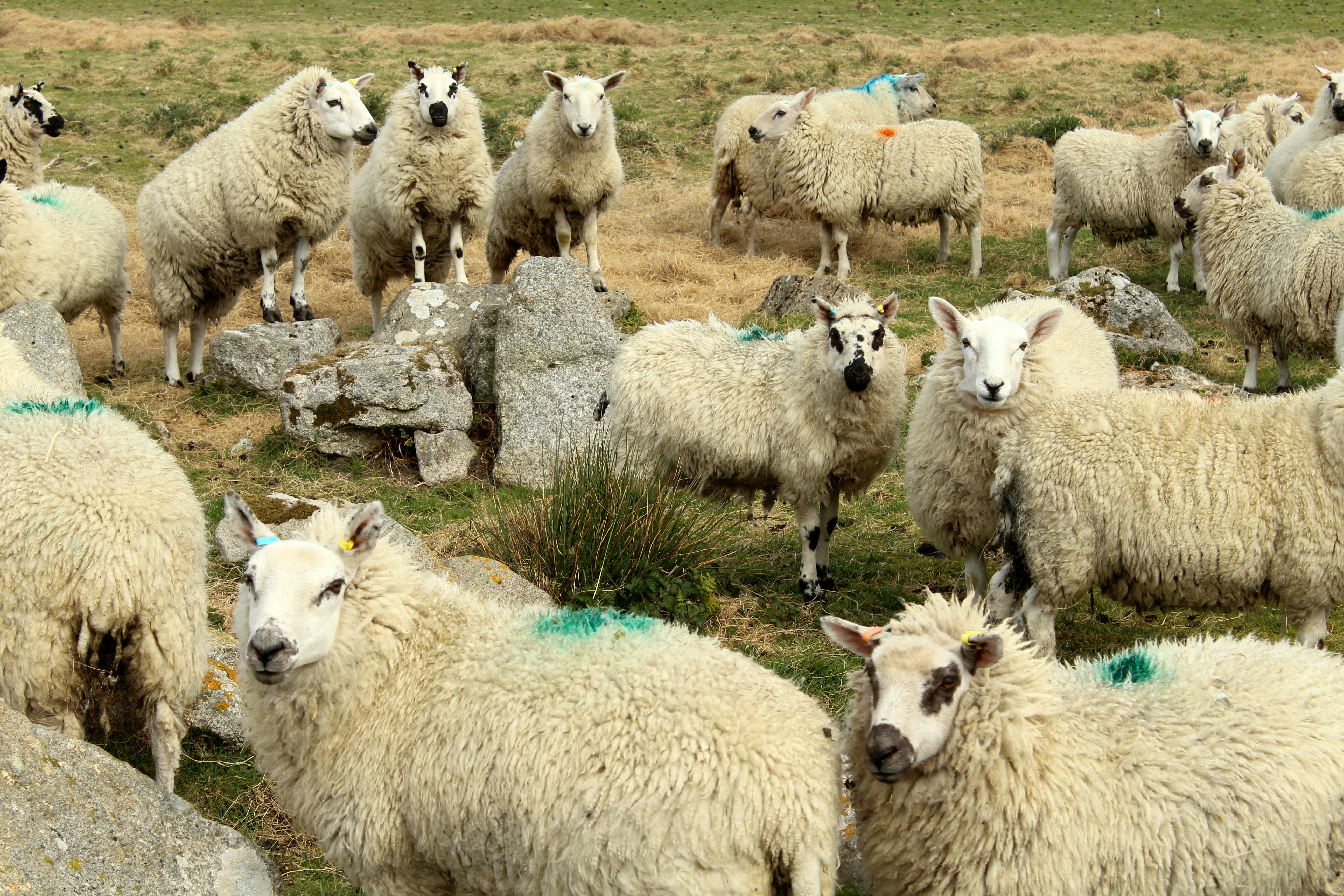 Photo by ben_everett