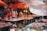 A bustling market scene with vendors and raw meat on display under orange umbrellas. People are busy arranging meat on tables, with plastic containers and various items around. Some stall lights hang overhead, illuminating the area.